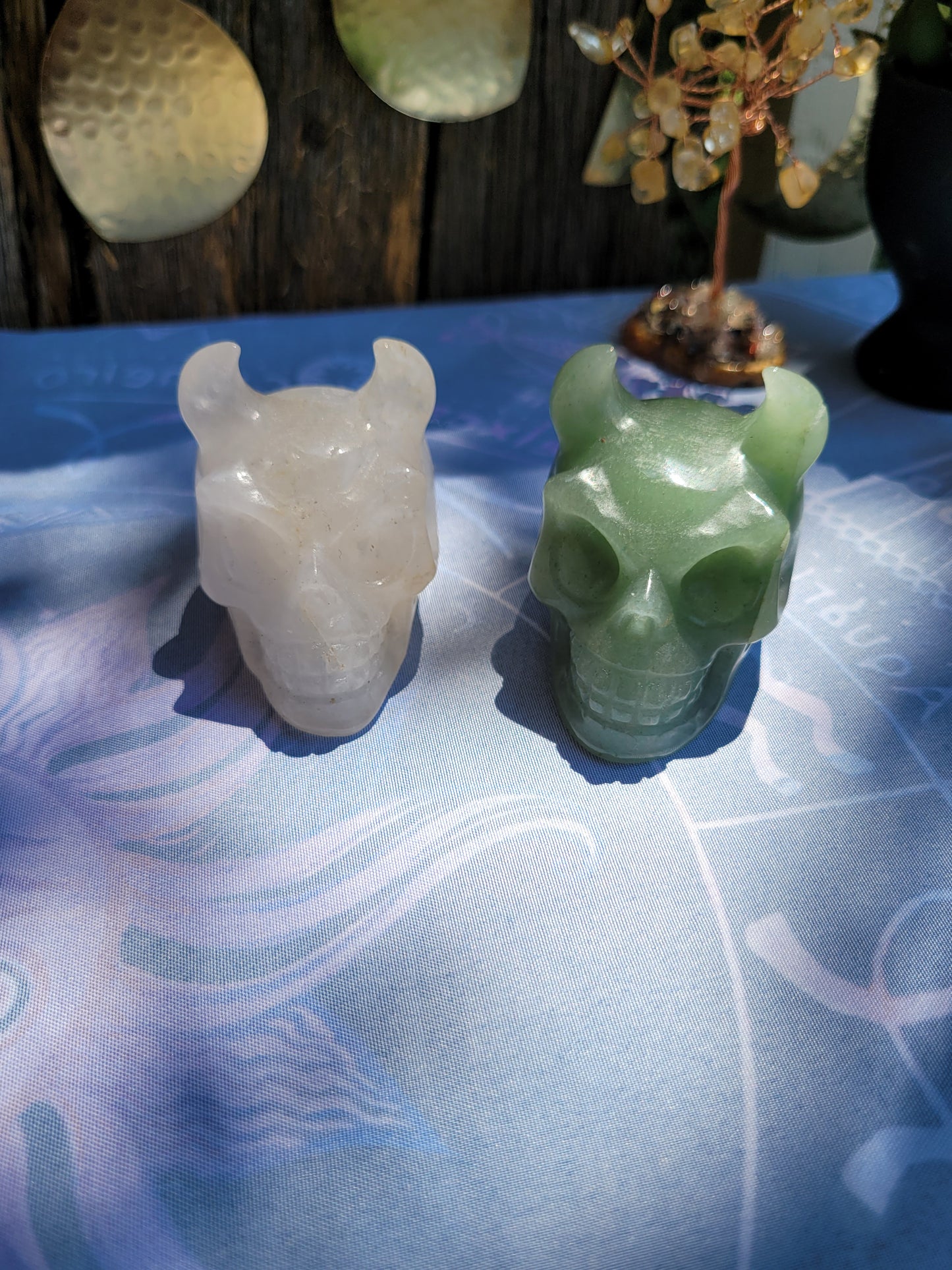Horned skulls