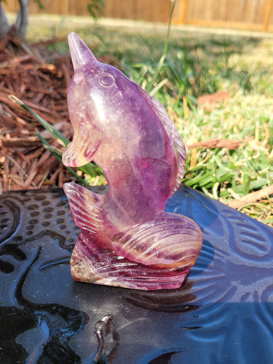 Large Candy Fluorite Dolphin Carvings