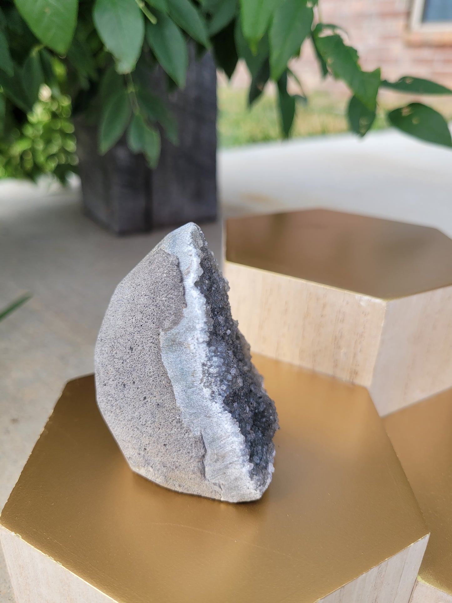 Black Amethyst Cut Base Geode - Small