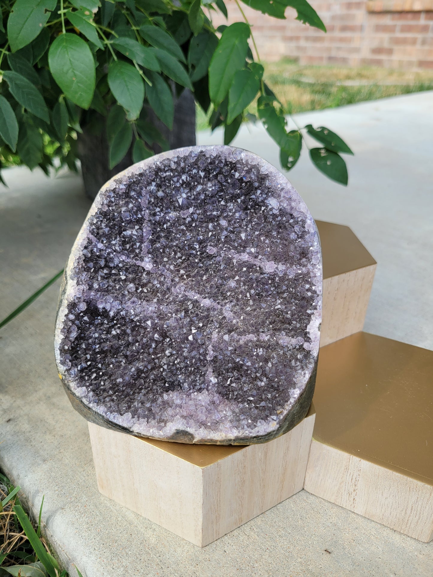Dark Purple/Black Amethyst Cut Base Geode