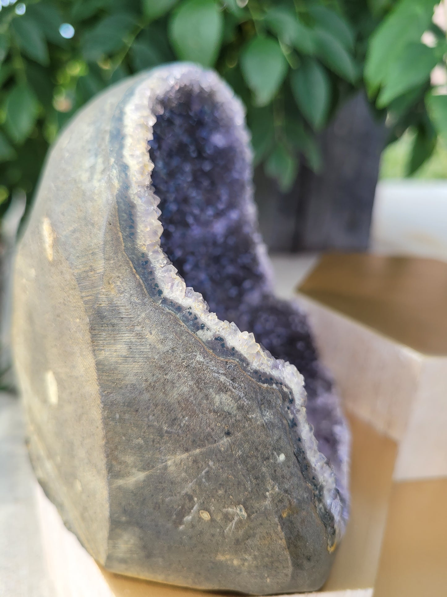 Dark Purple/Black Amethyst Cut Base Geode