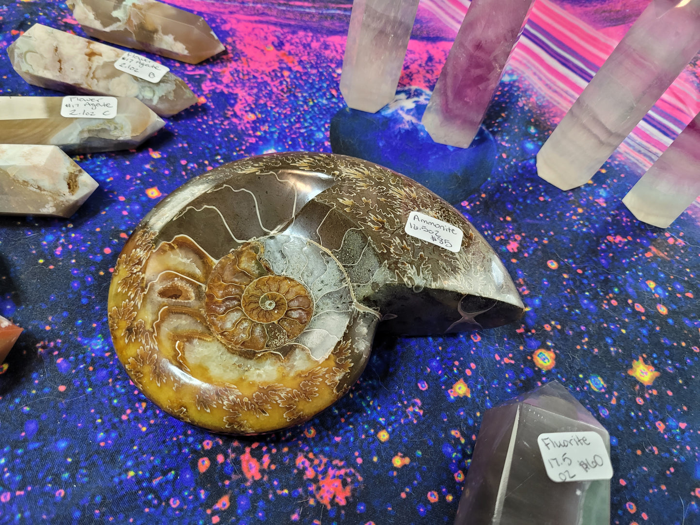 Ammonite Fossil Dish - Large