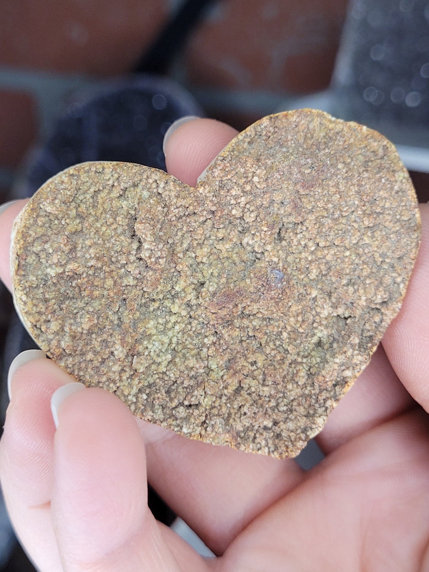 Assorted Raw Amethyst Hearts