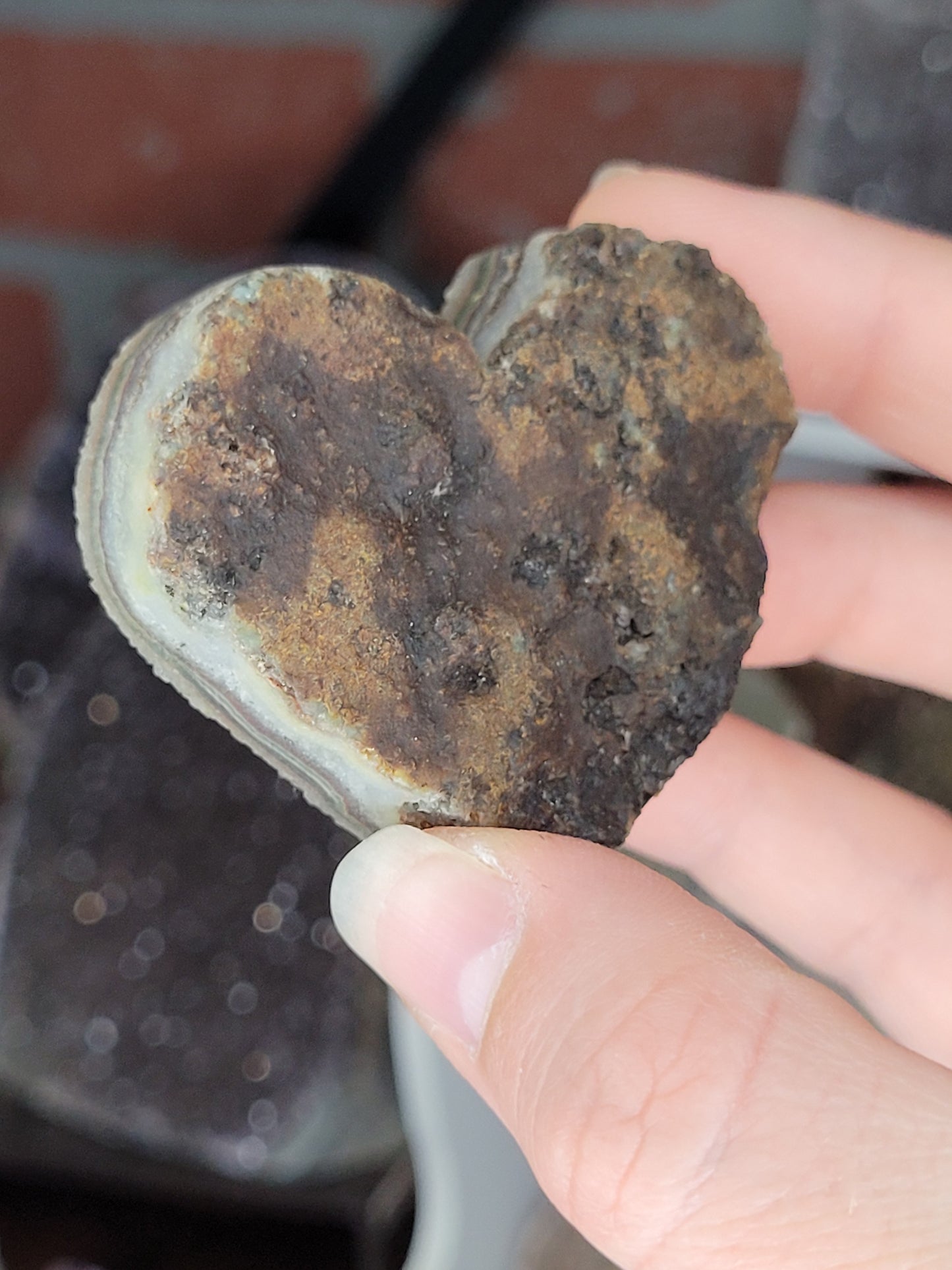 Assorted Raw Amethyst Hearts