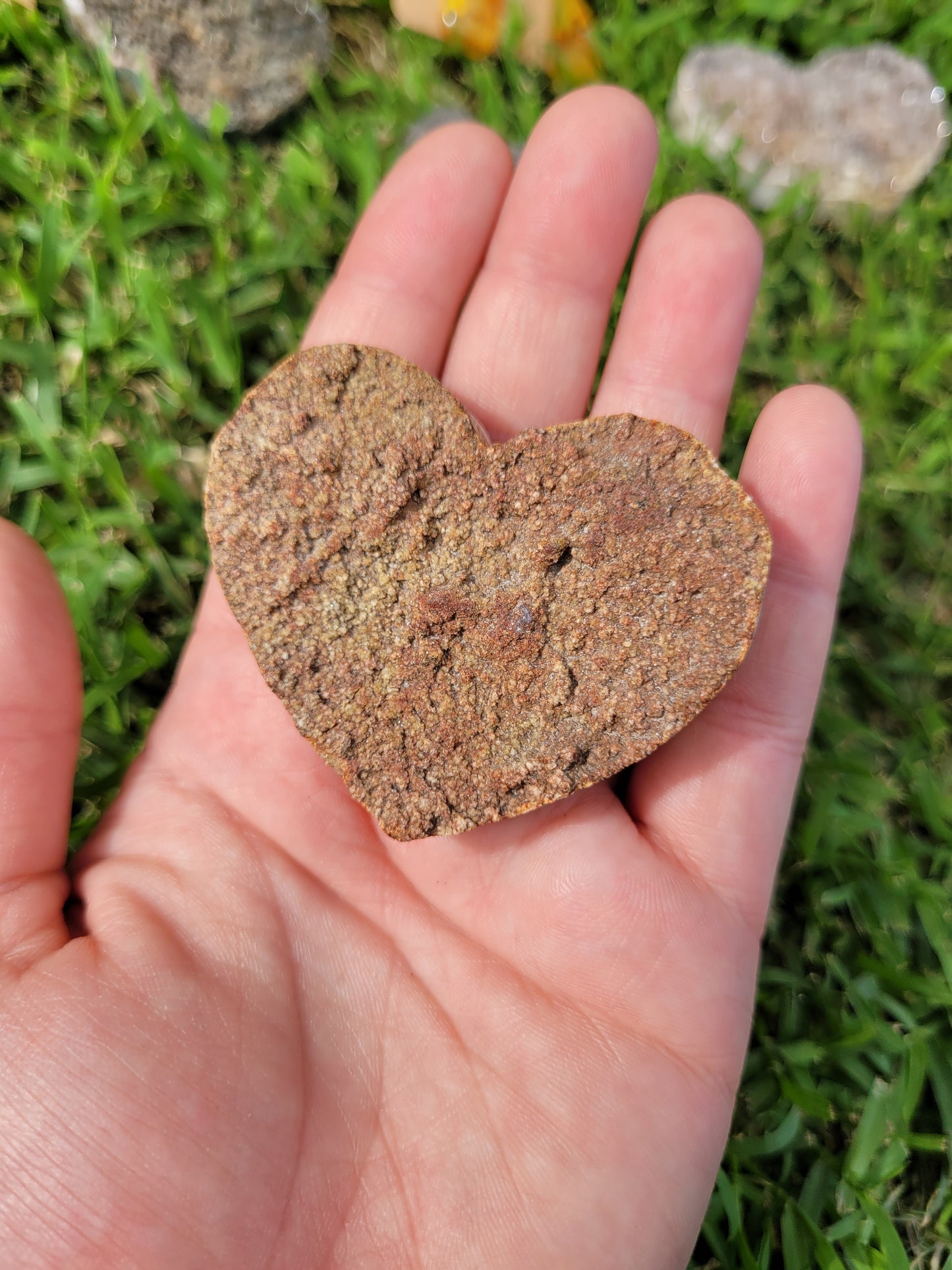 Assorted Raw Amethyst Hearts