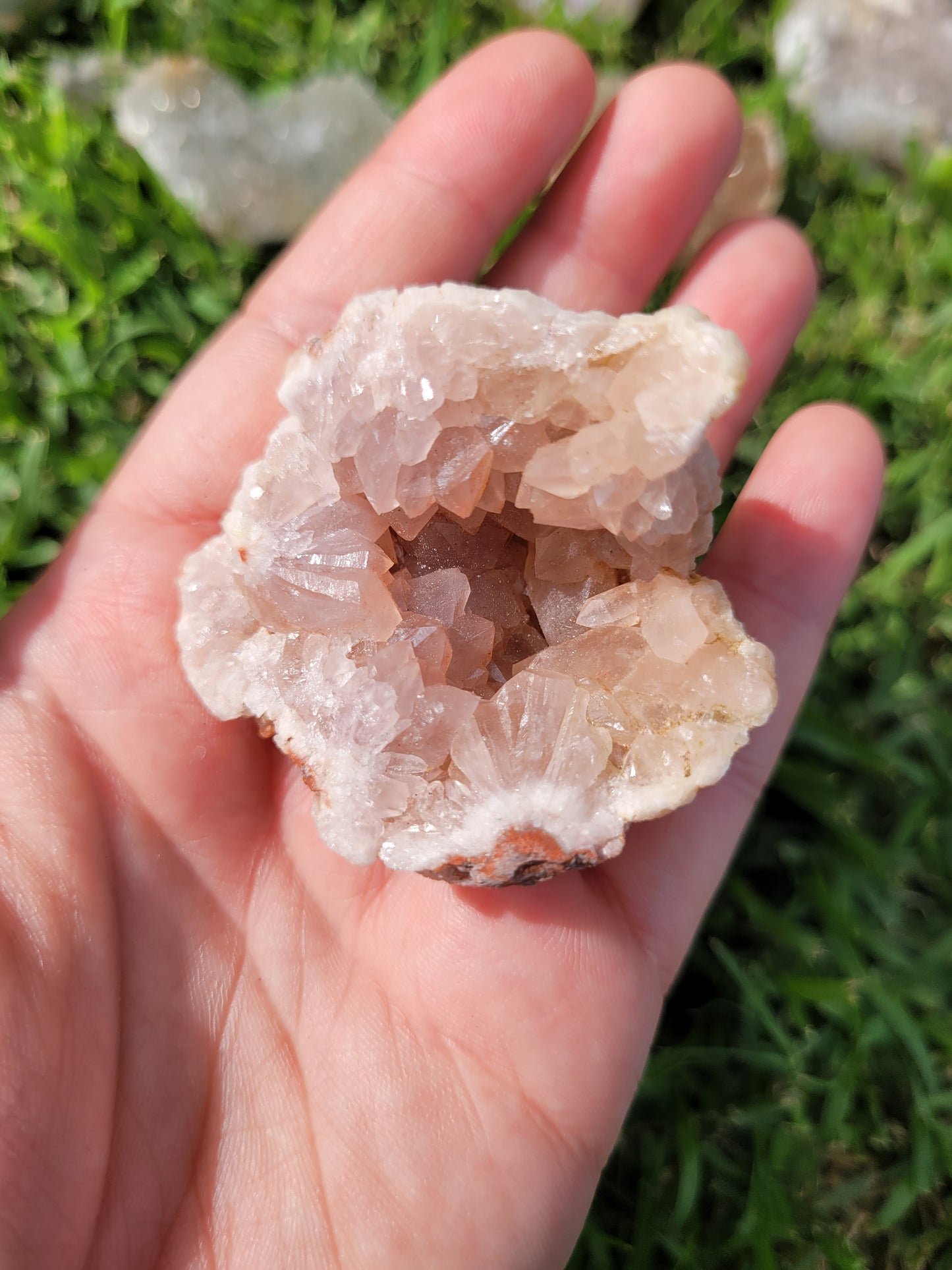 Pink Amethyst Geode Specimens
