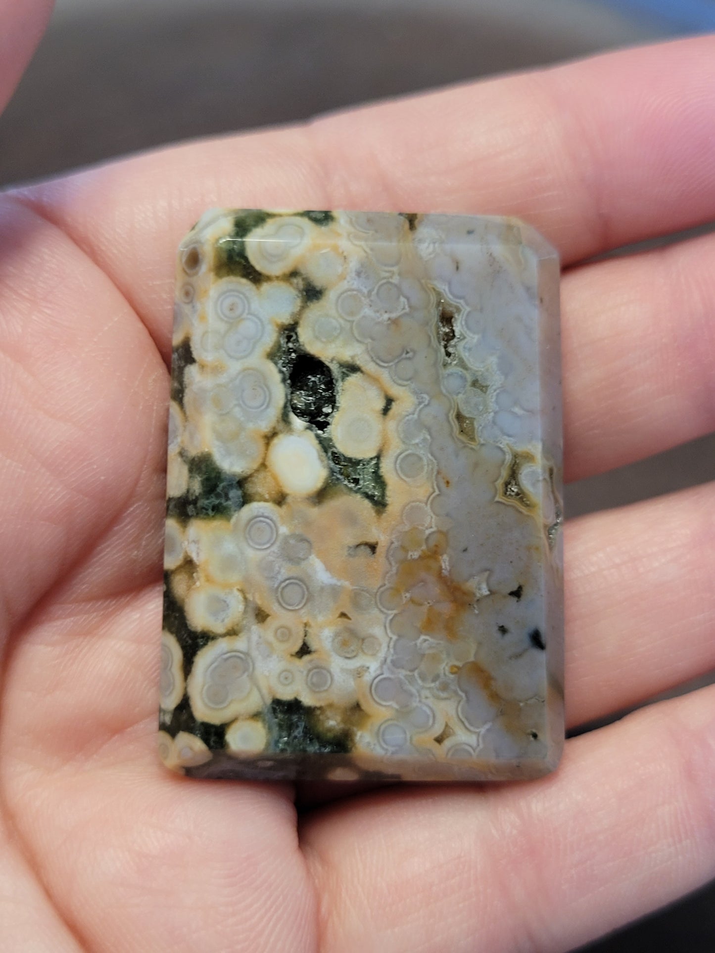 Ocean Jasper Cabs