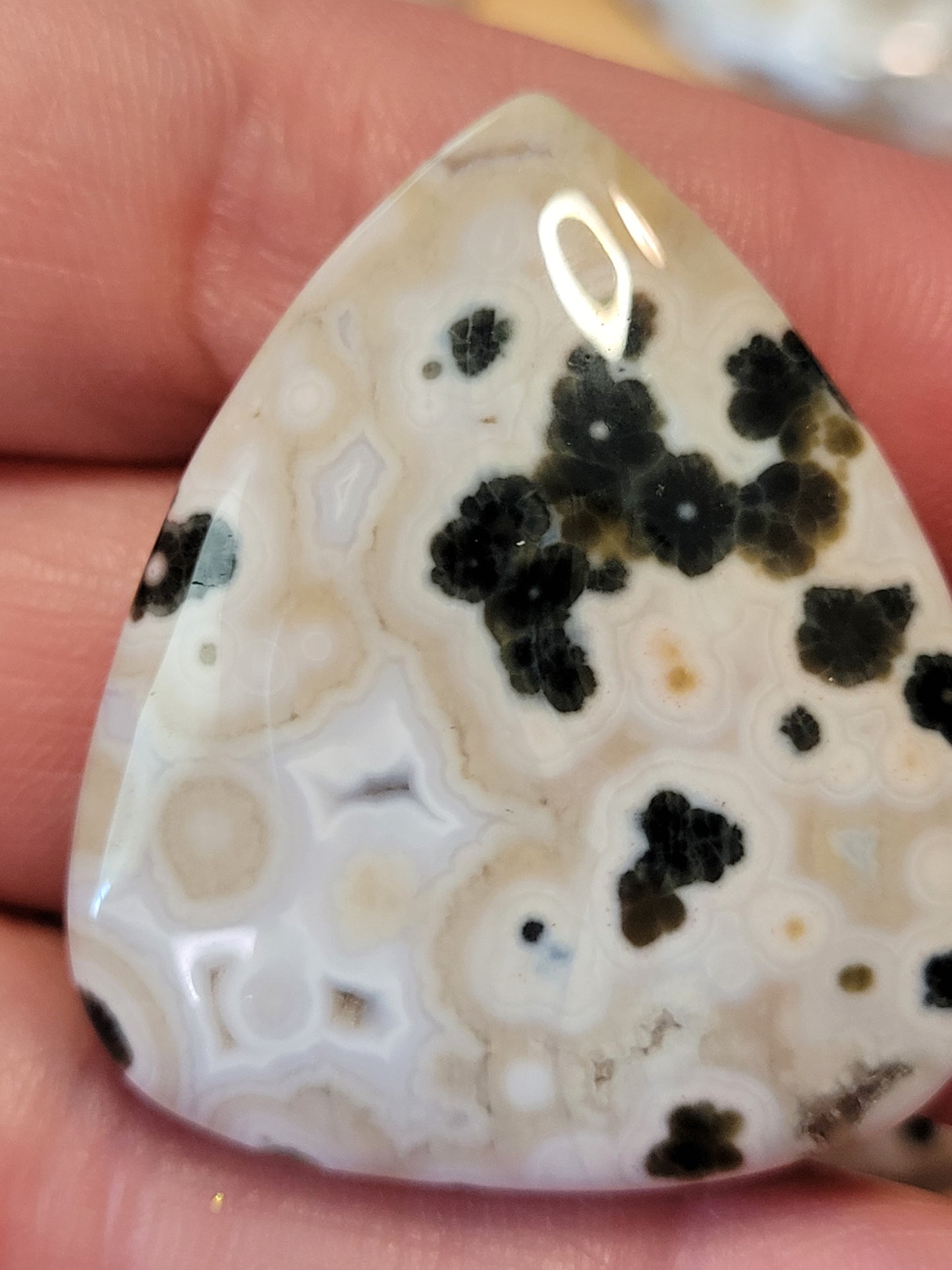 White & Green Ocean Jasper Cabs