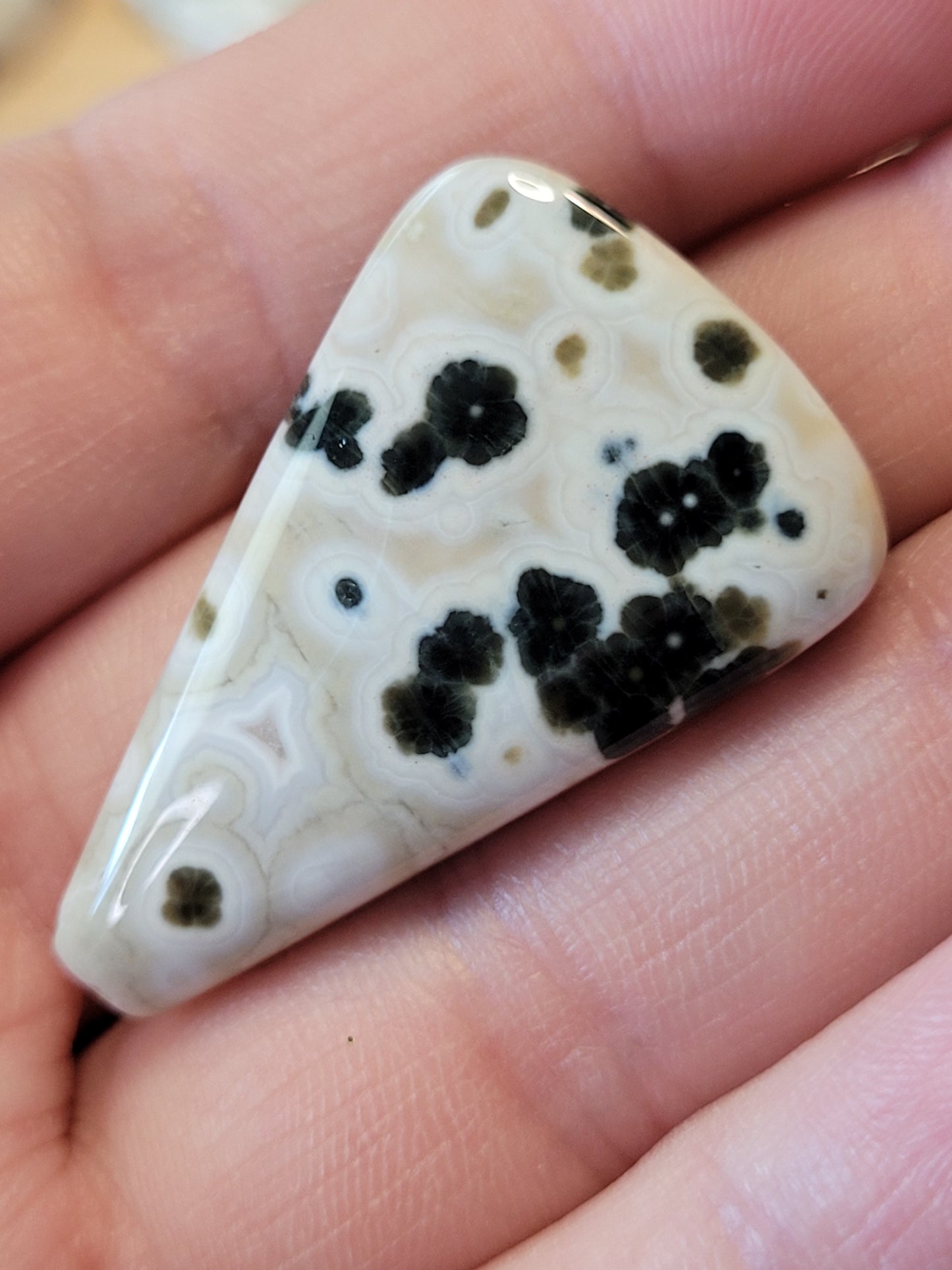 White & Green Ocean Jasper Cabs