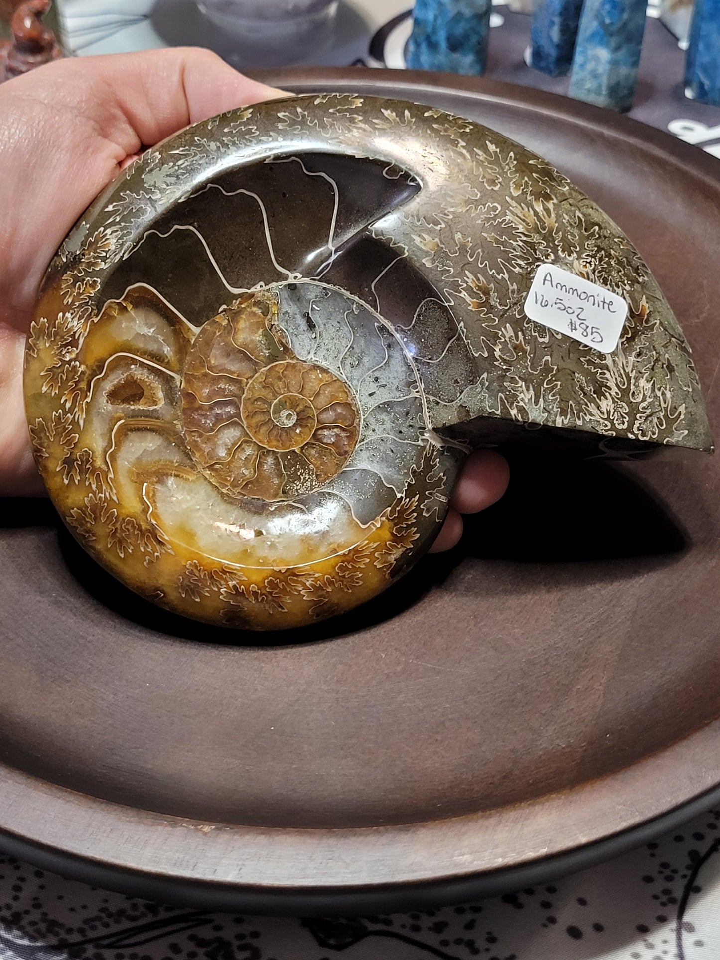 Ammonite Fossil Dish - Large
