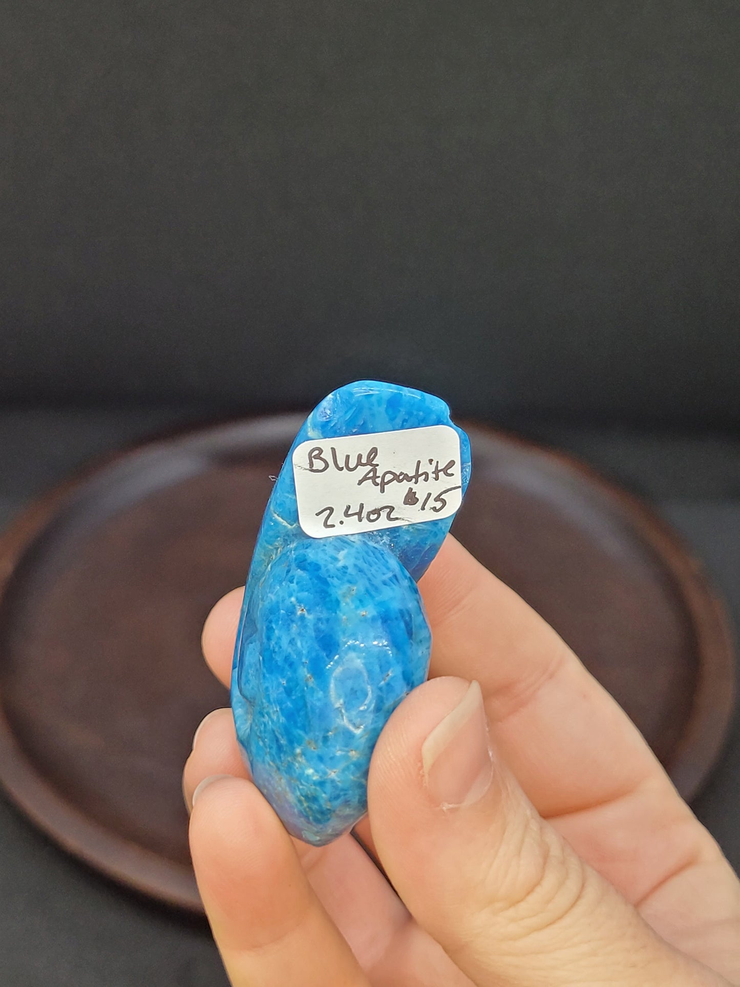 Blue Apatite Shell - Misfit