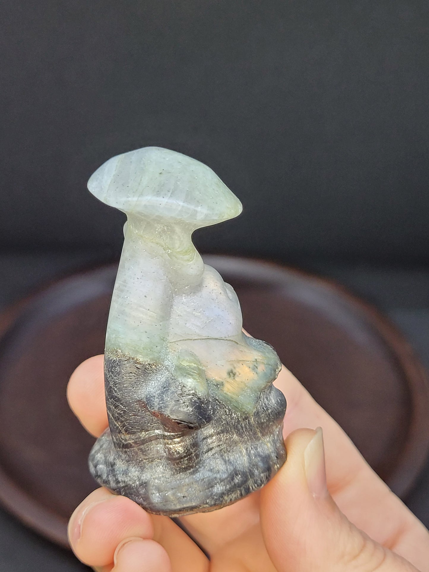 Labradorite Totoro On Mushroom Carving