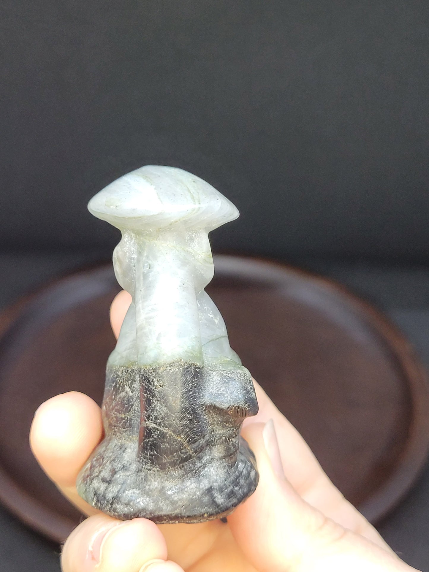 Labradorite Totoro On Mushroom Carving