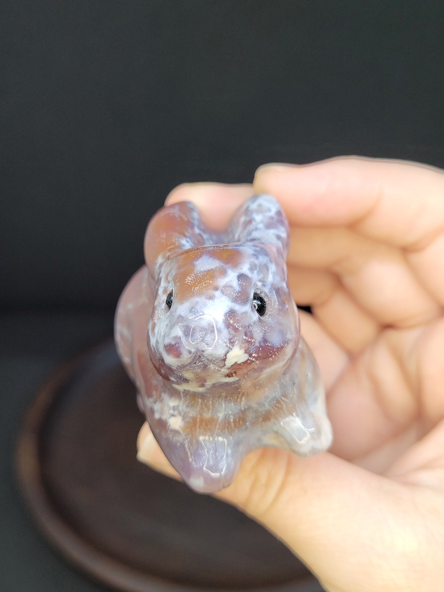 Ocean Jasper Bunny Rabbit