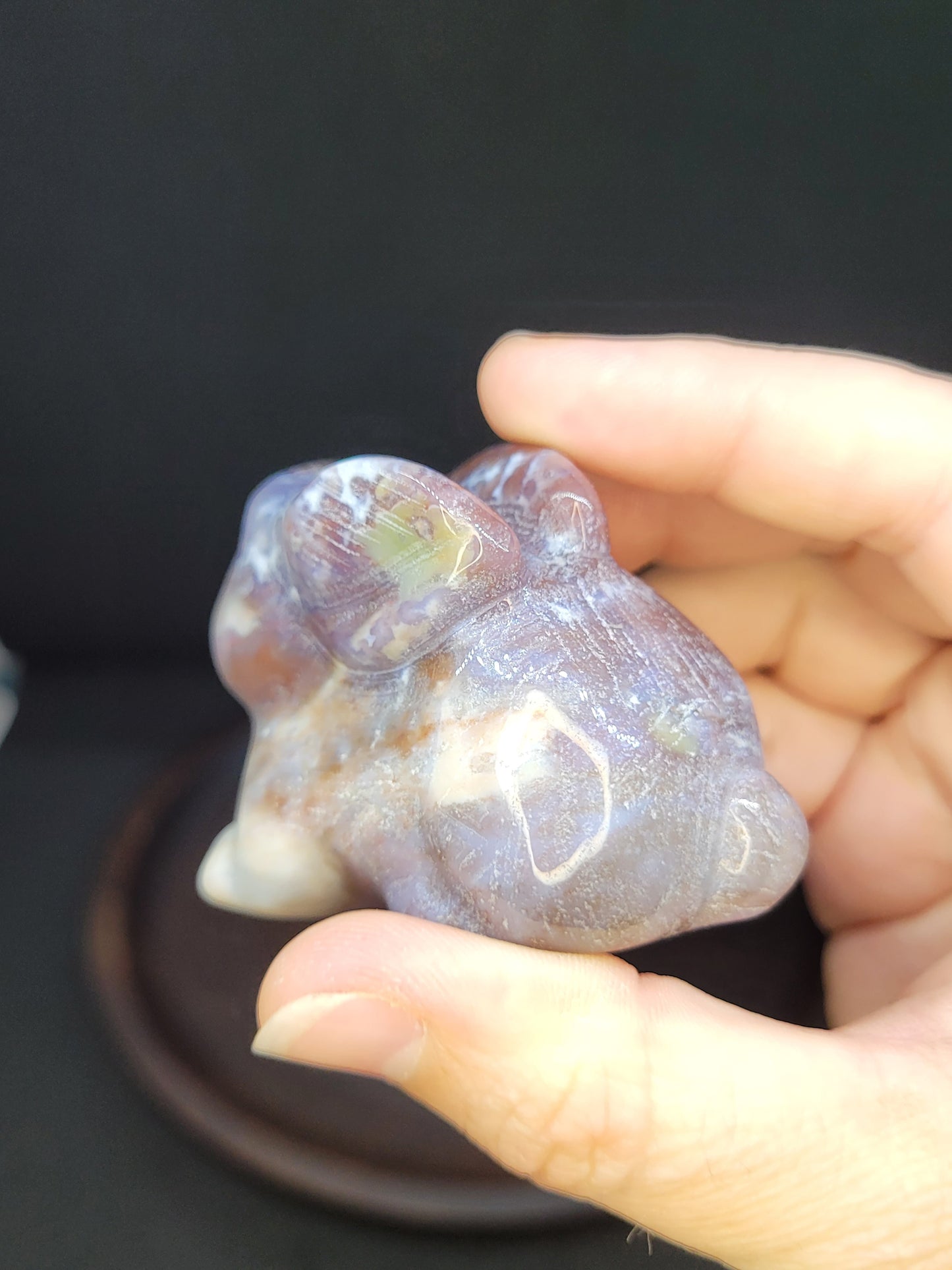 Ocean Jasper Bunny Rabbit