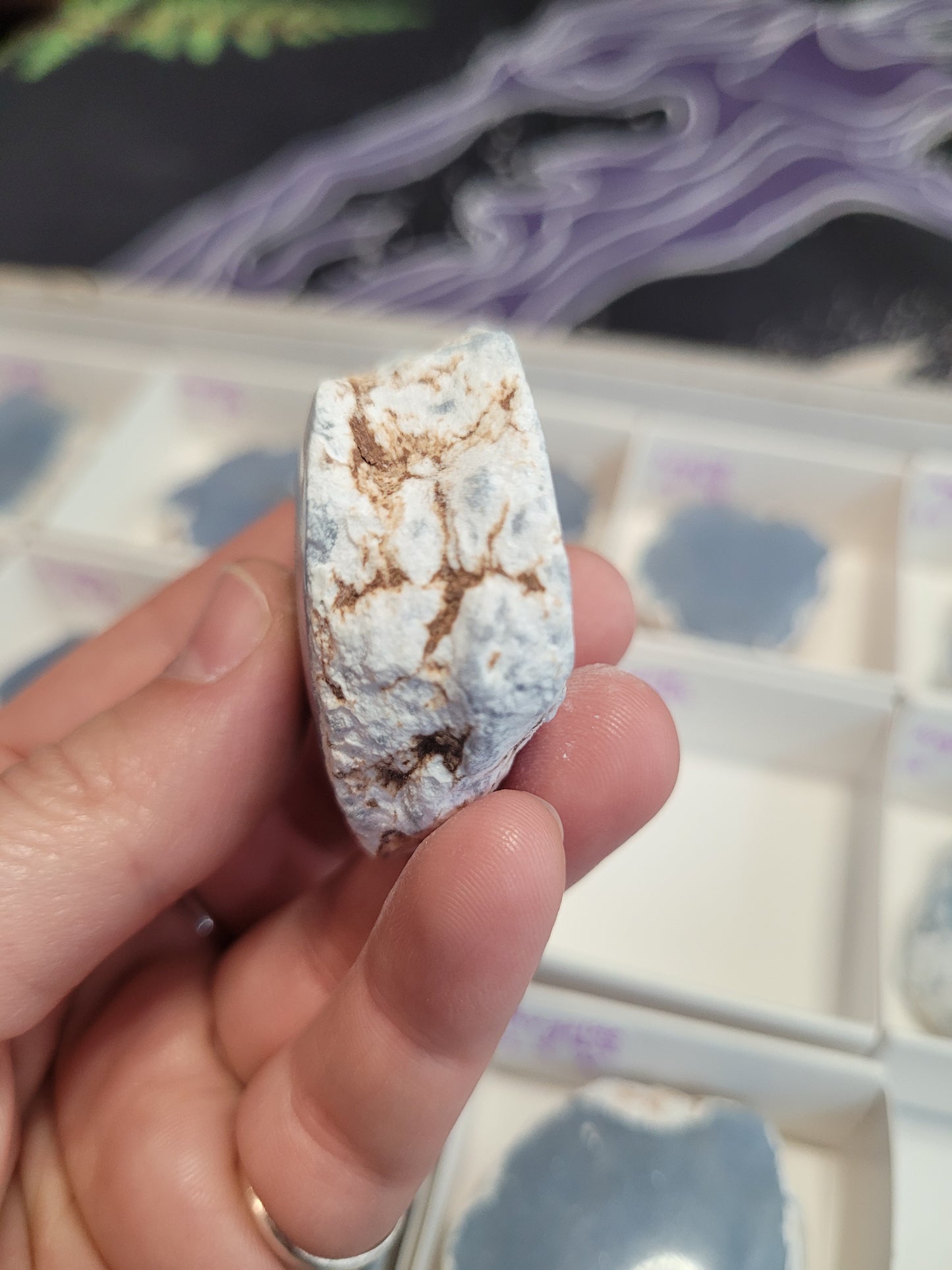 Angelite Raw/Polished Pieces