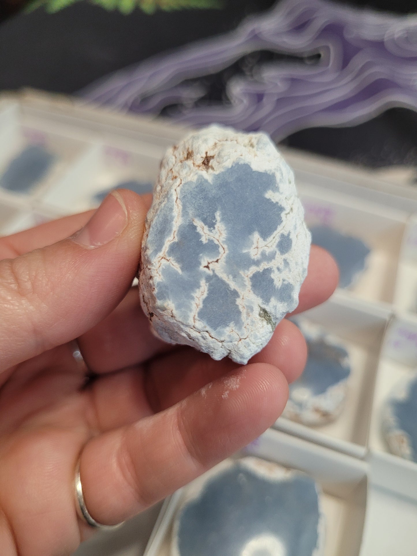 Angelite Raw/Polished Pieces