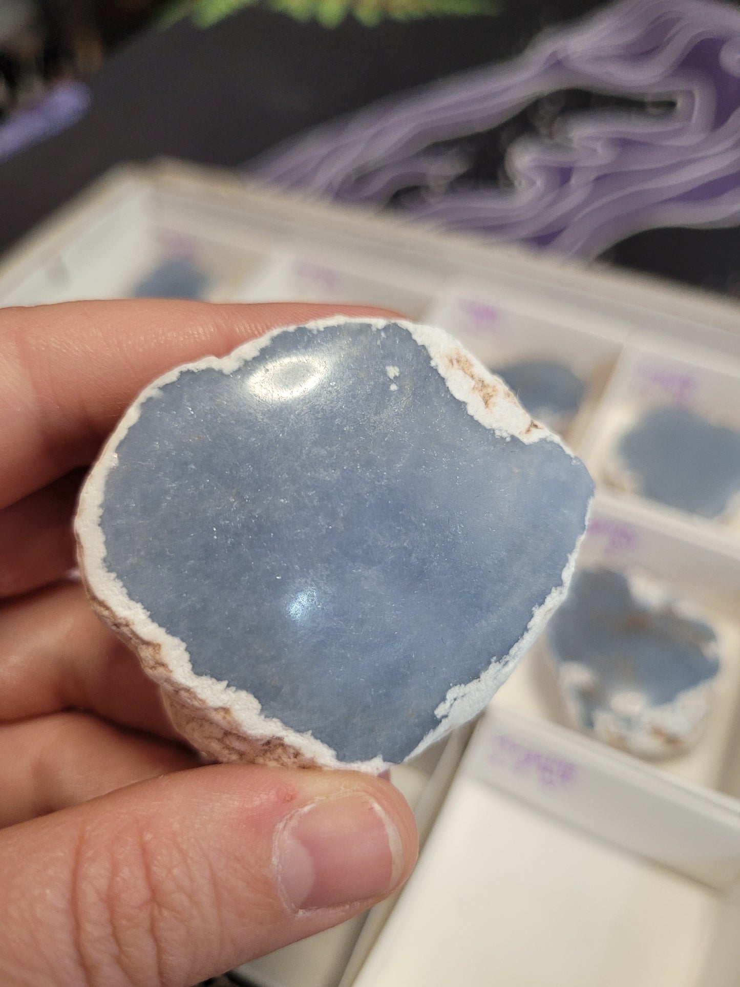 Angelite Raw/Polished Pieces
