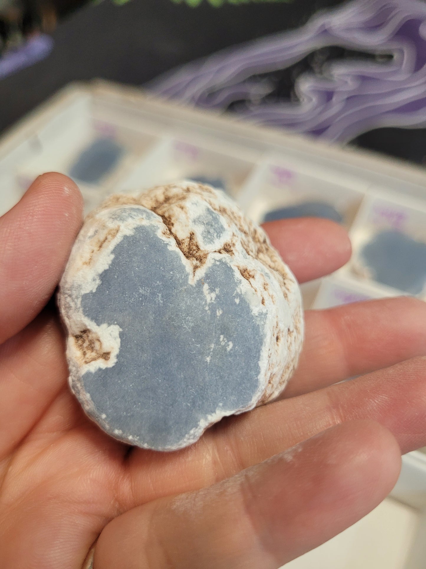 Angelite Raw/Polished Pieces