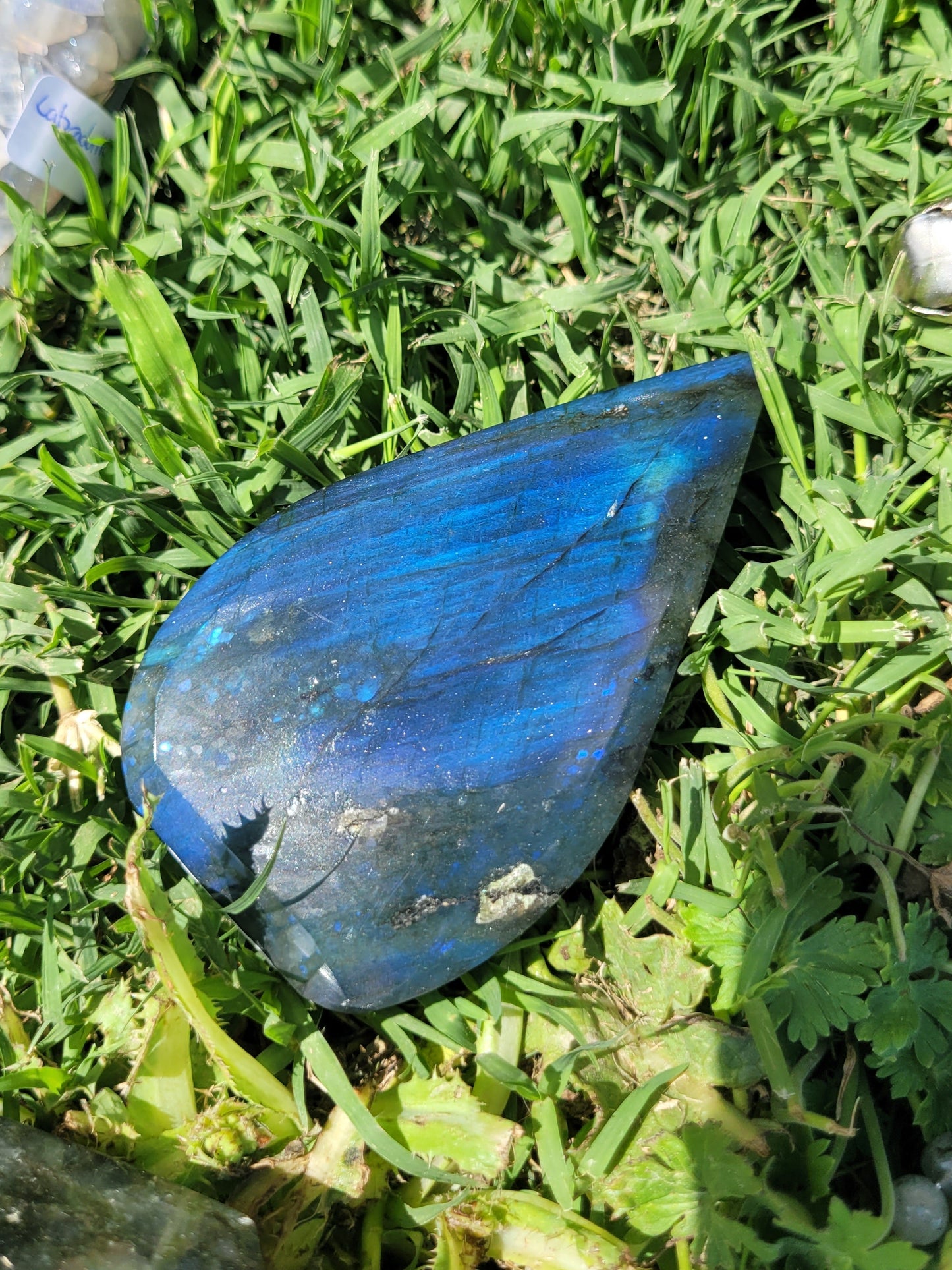 Labradorite Teardrop - small - flashy
