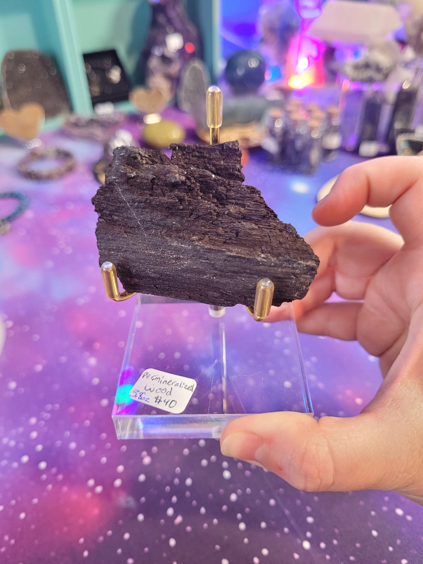 Permineralized Wood Specimen - Black & Brown - Galaxy Wood - Fossil