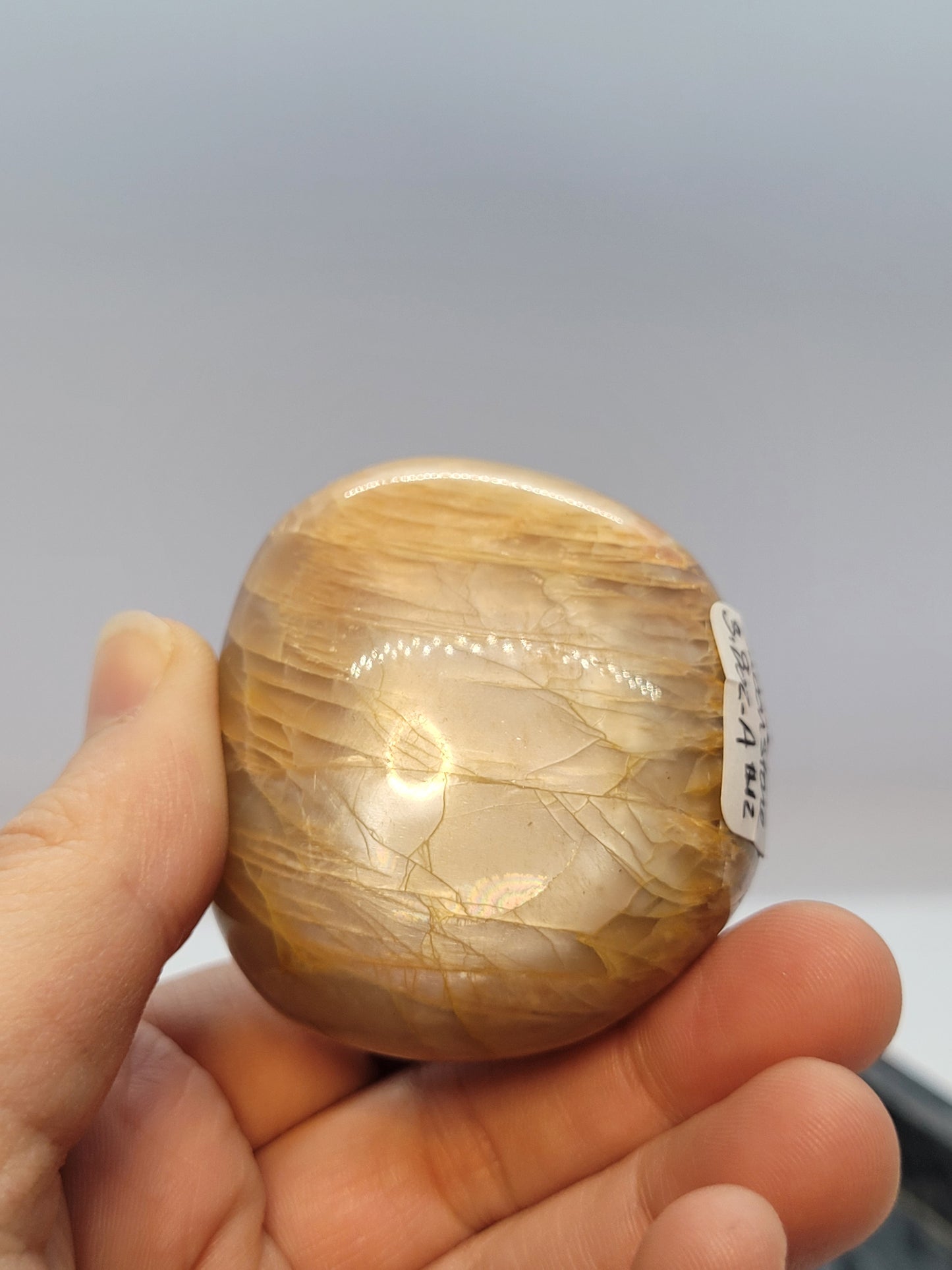 Peach Moonstone Palms