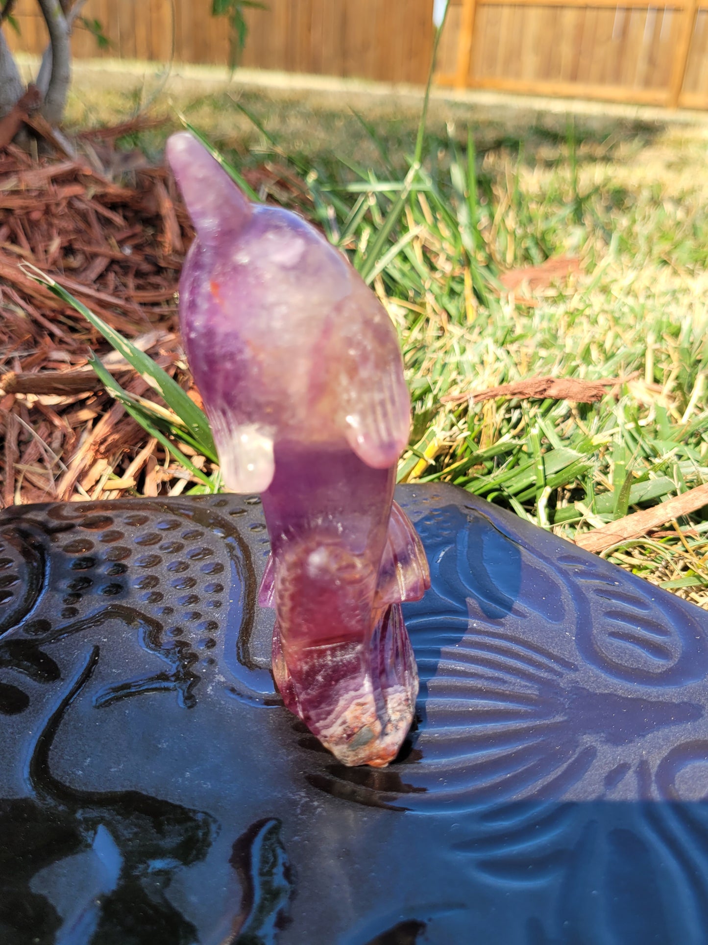 Large Candy Fluorite Dolphin Carvings