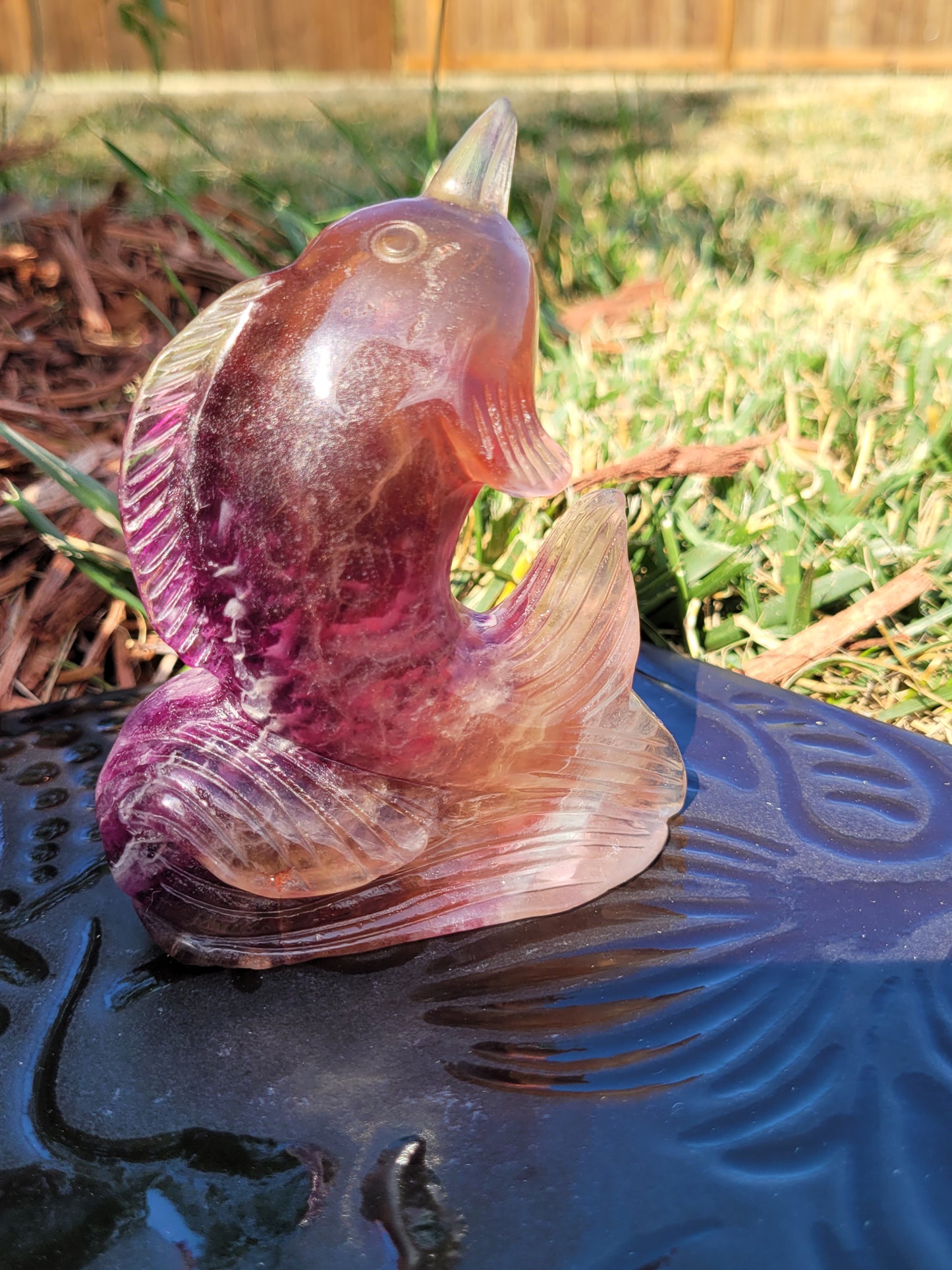 Large Candy Fluorite Dolphin Carvings