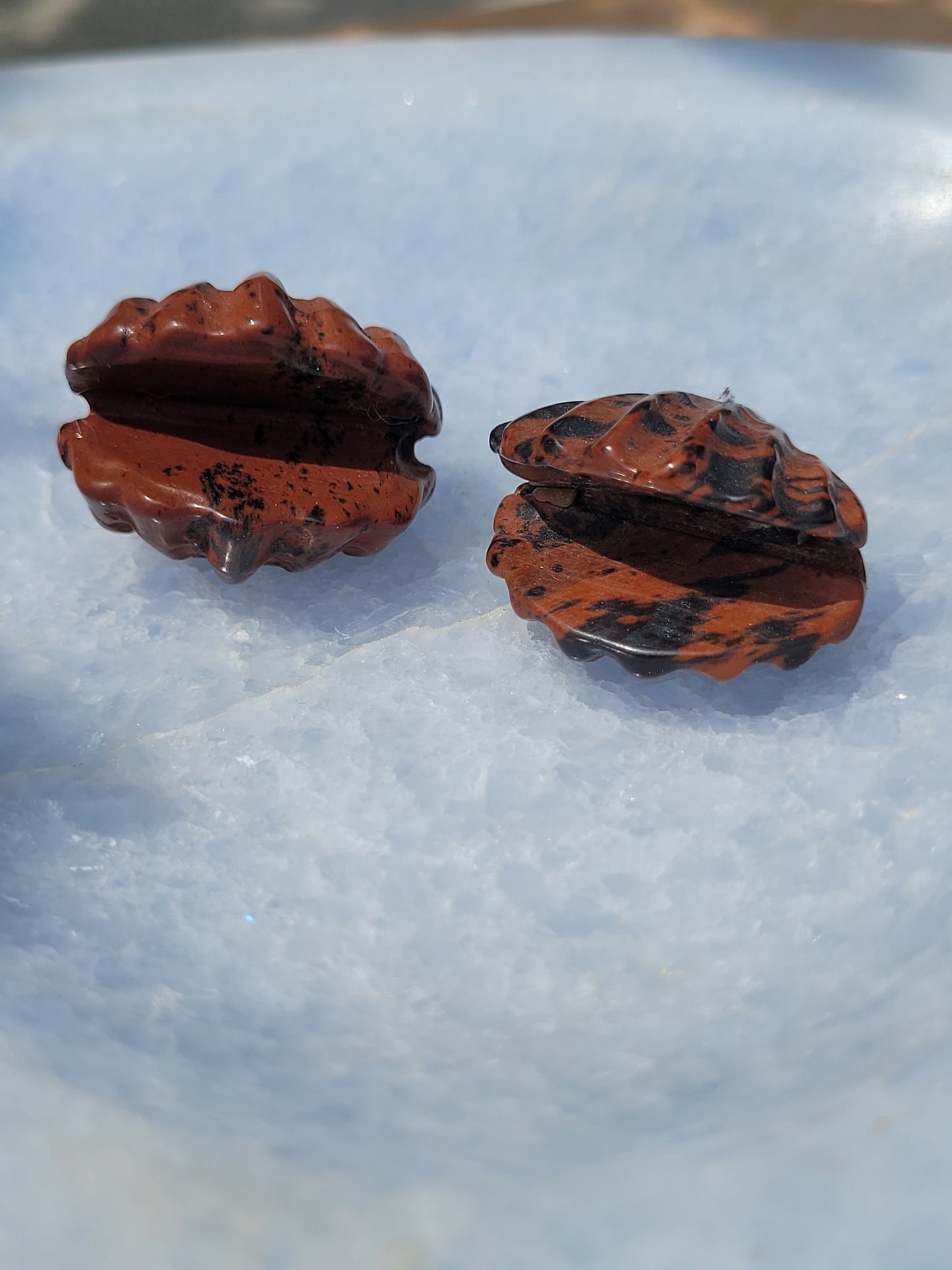 Mahogany Obsidian Clam shell carvings