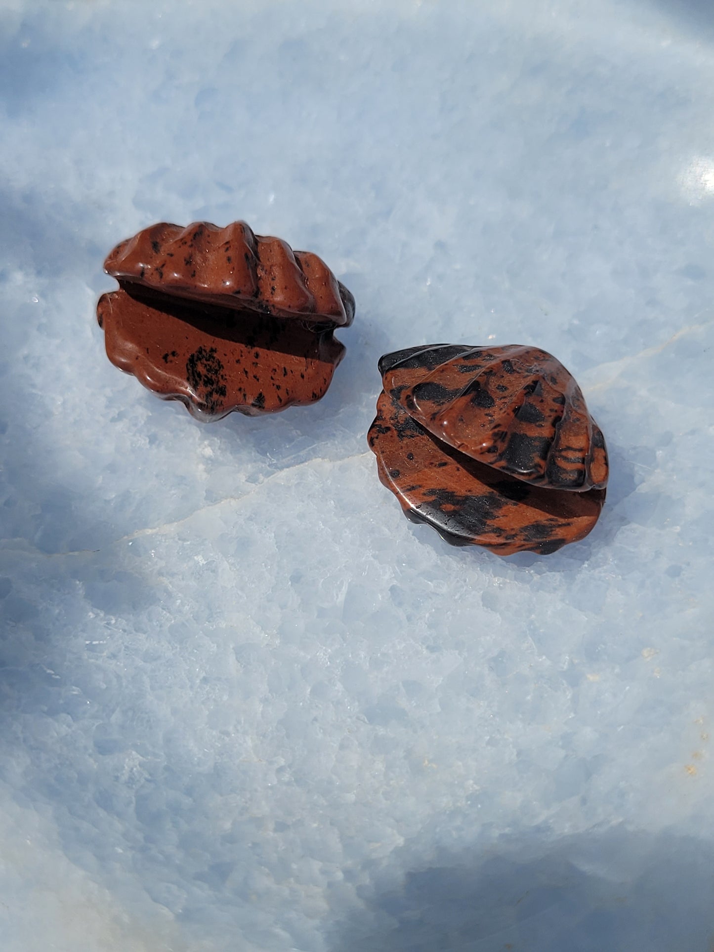 Mahogany Obsidian Clam shell carvings