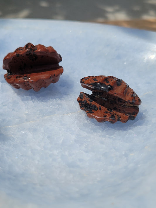 Mahogany Obsidian Clam shell carvings