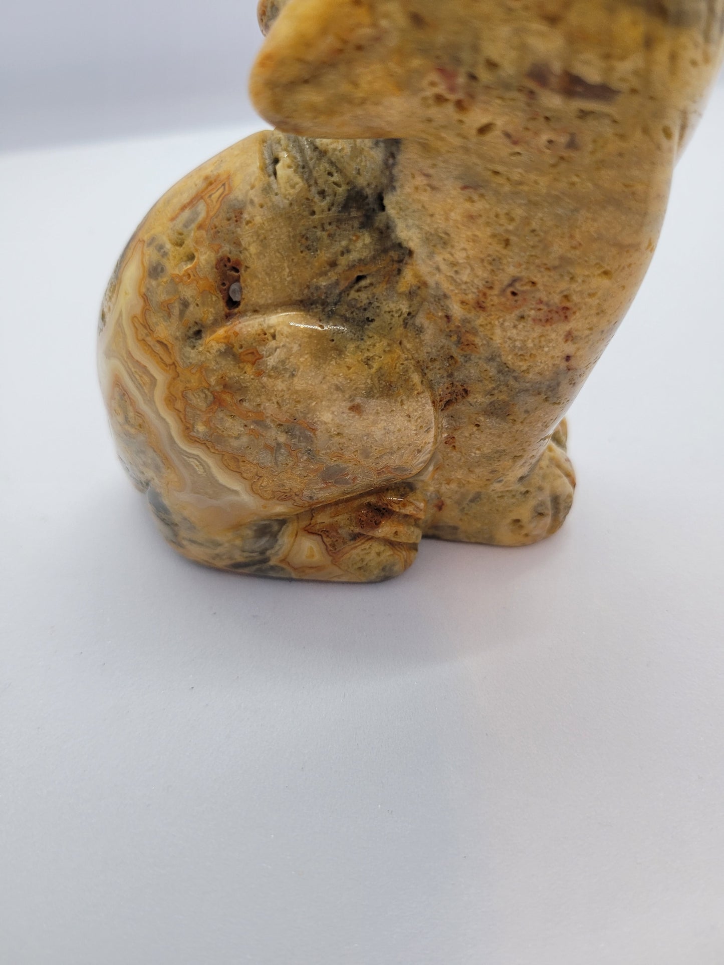 Yellow Crazy Lace Agate Howling Wolf carving - large