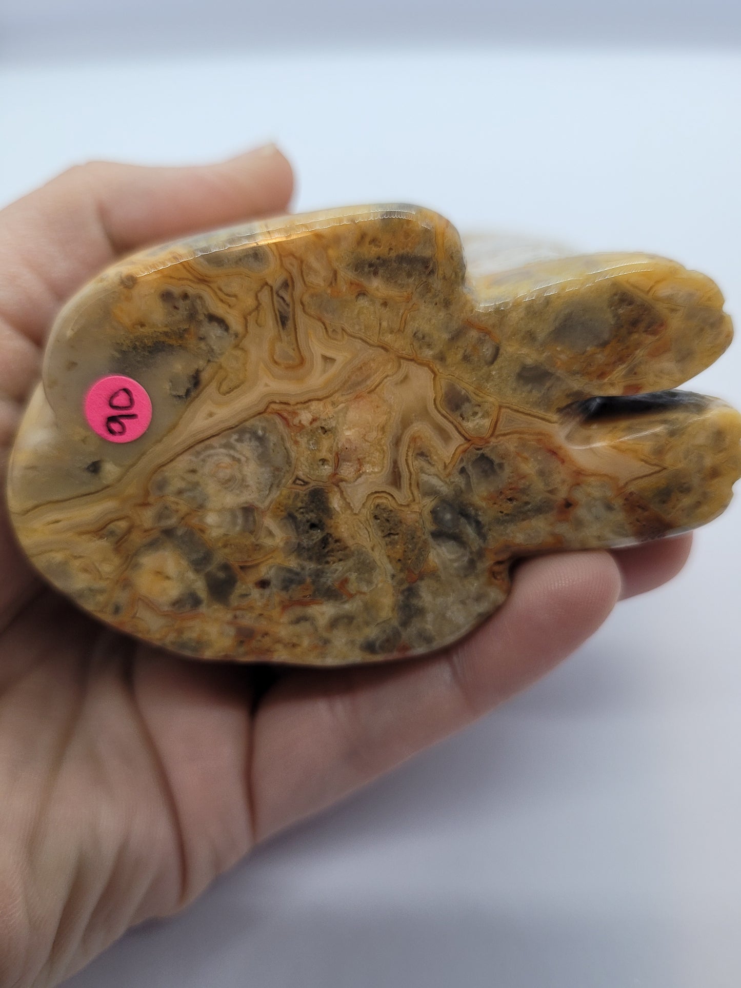 Yellow Crazy Lace Agate Howling Wolf carving - large