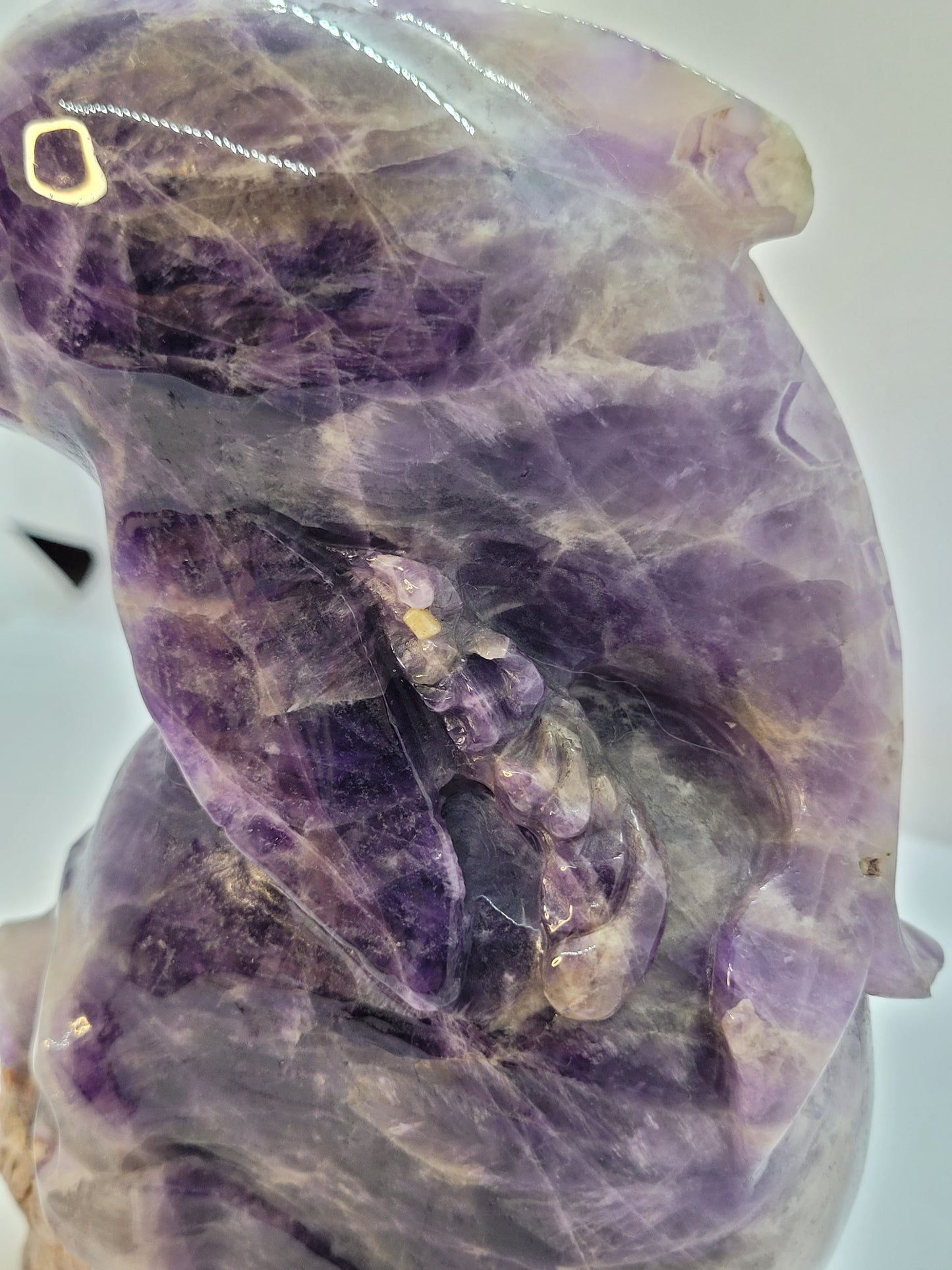 Dream Amethyst Skull/Dolphin carving