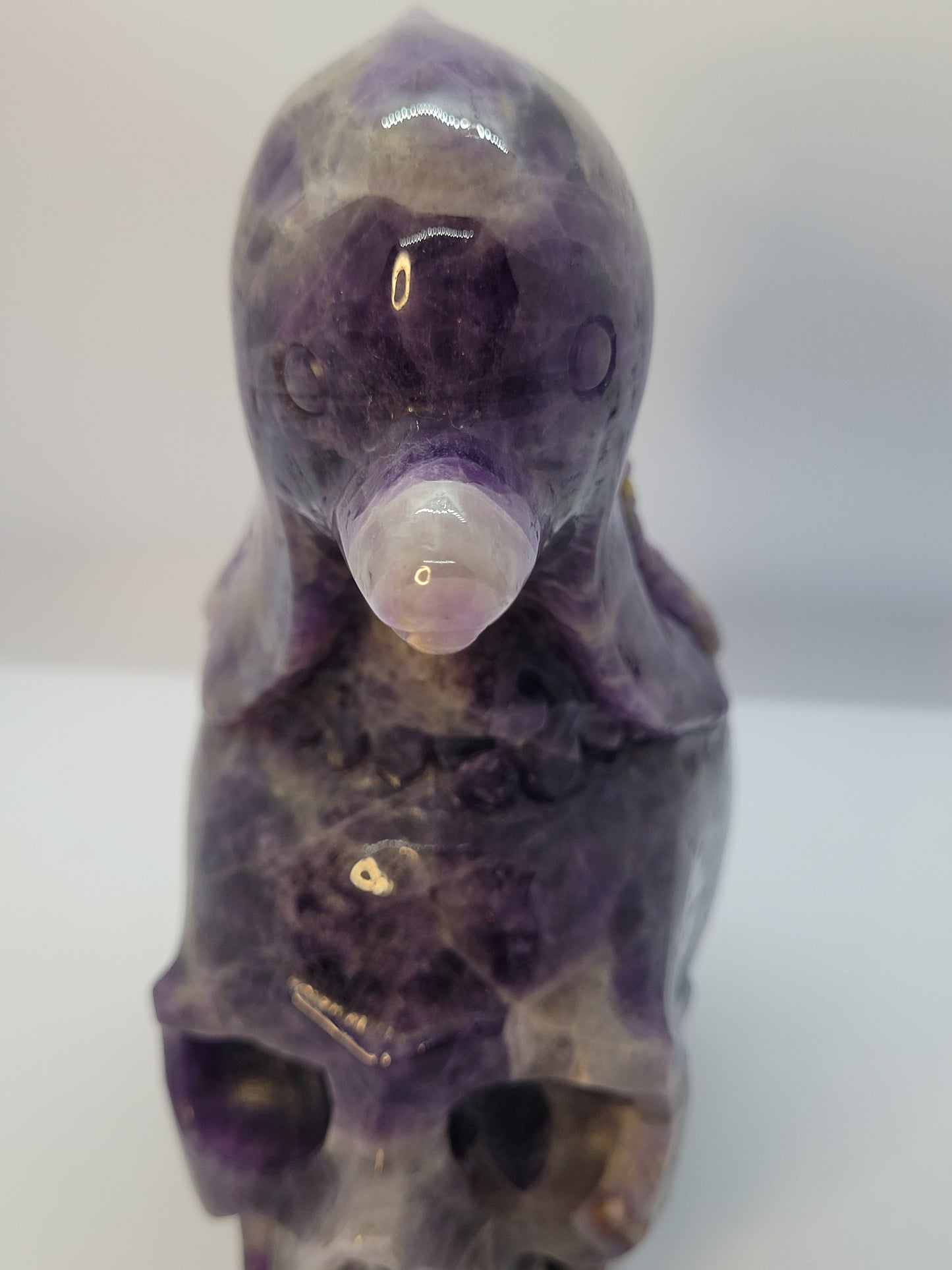 Dream Amethyst Skull/Dolphin carving