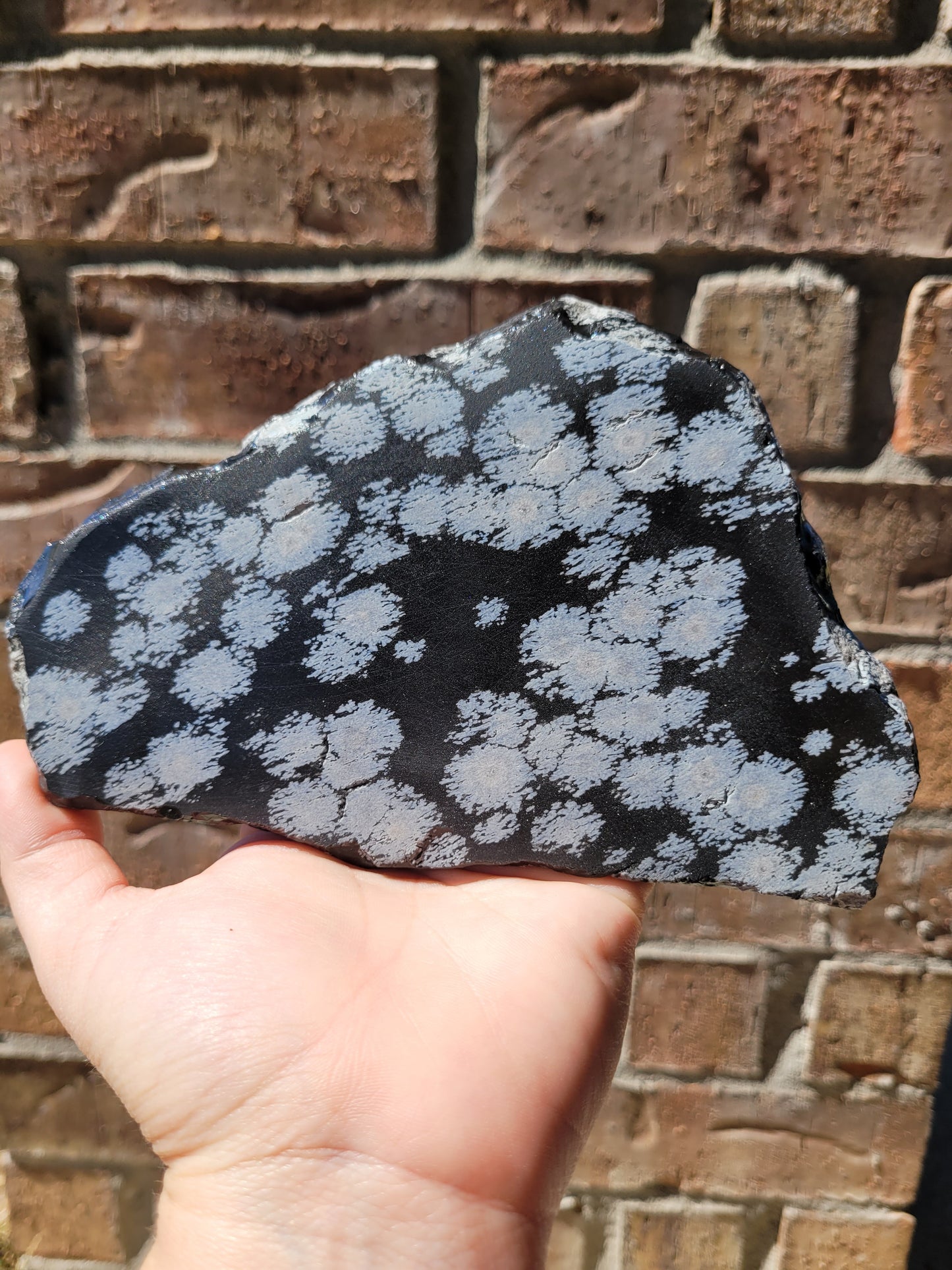 Raw Snowflake Obsidian Slabs