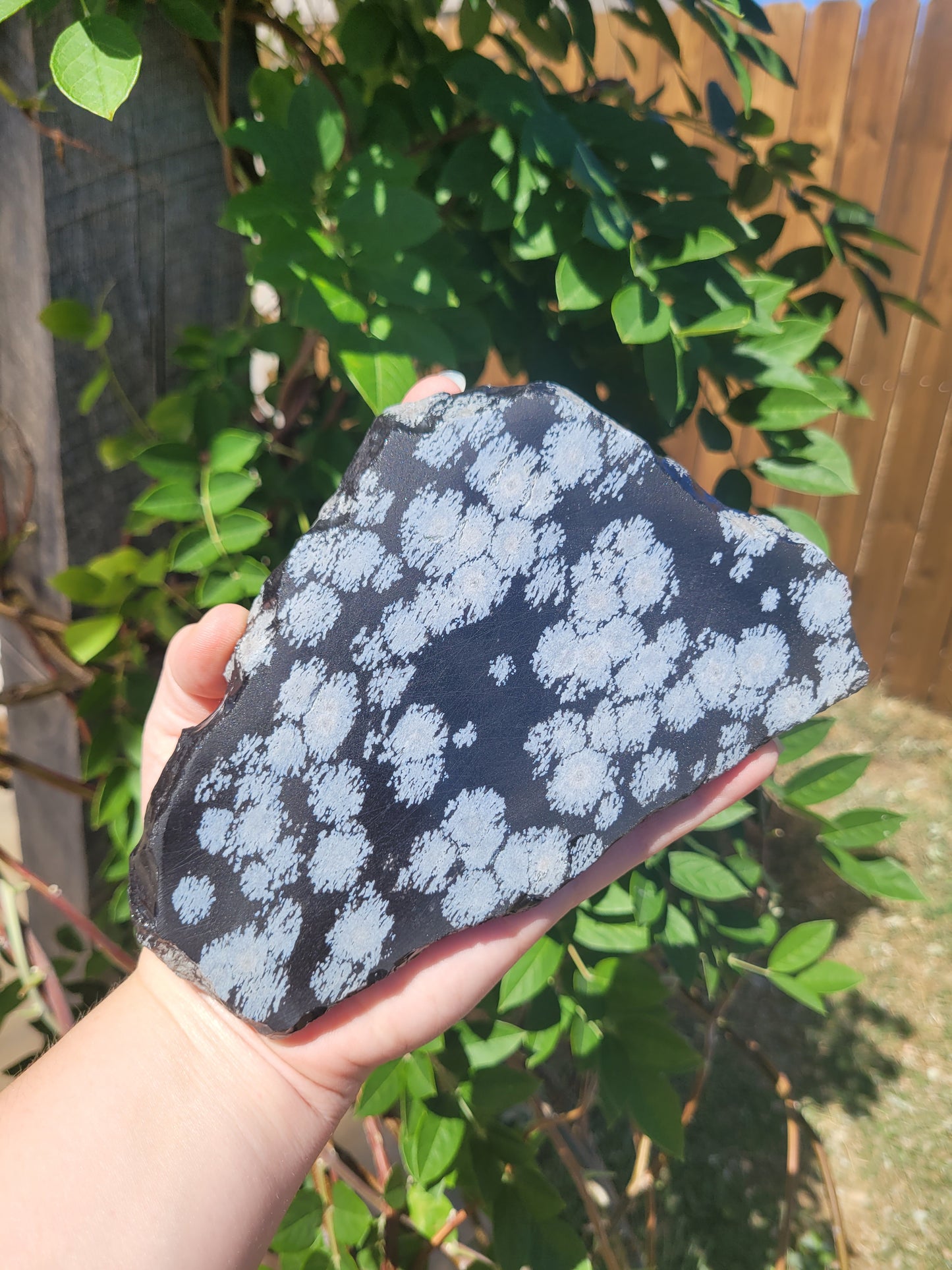 Raw Snowflake Obsidian Slabs