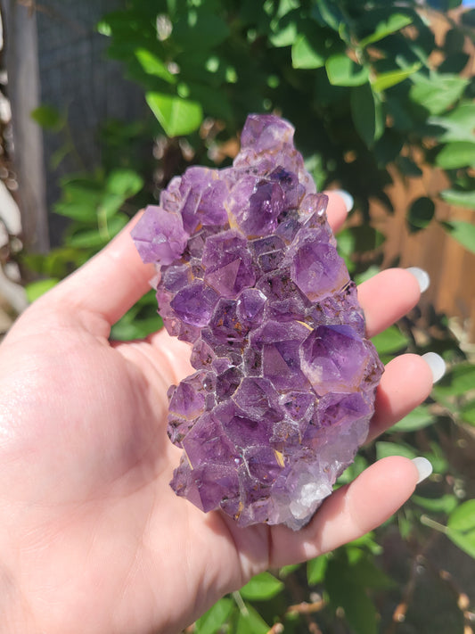 Deep Purple Raw Amethyst Specimen