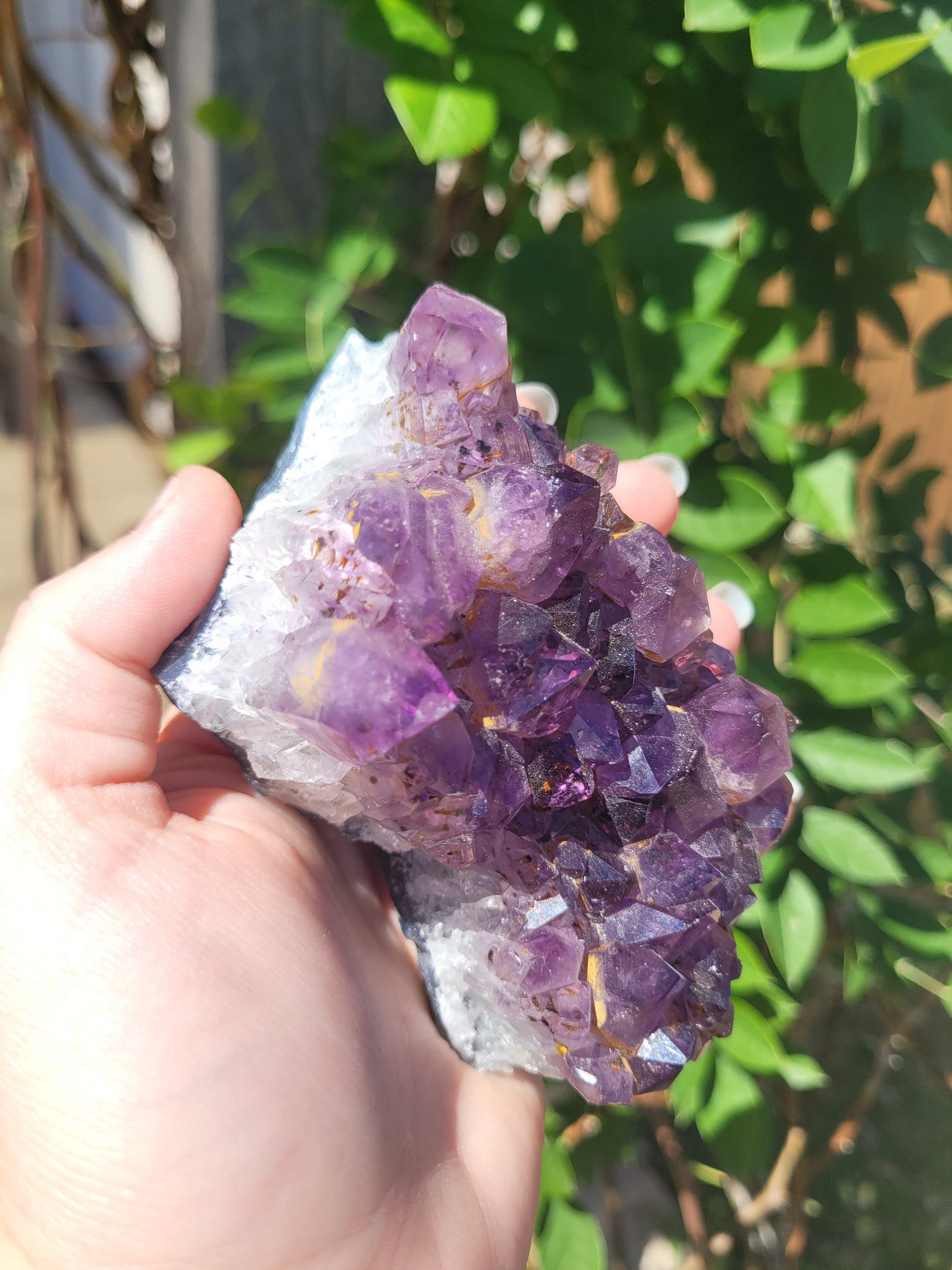 Deep Purple Raw Amethyst Specimen