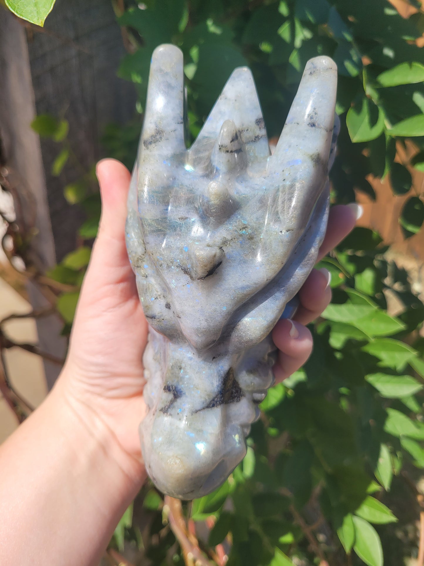 XL Labradorite Dragon Head Carving