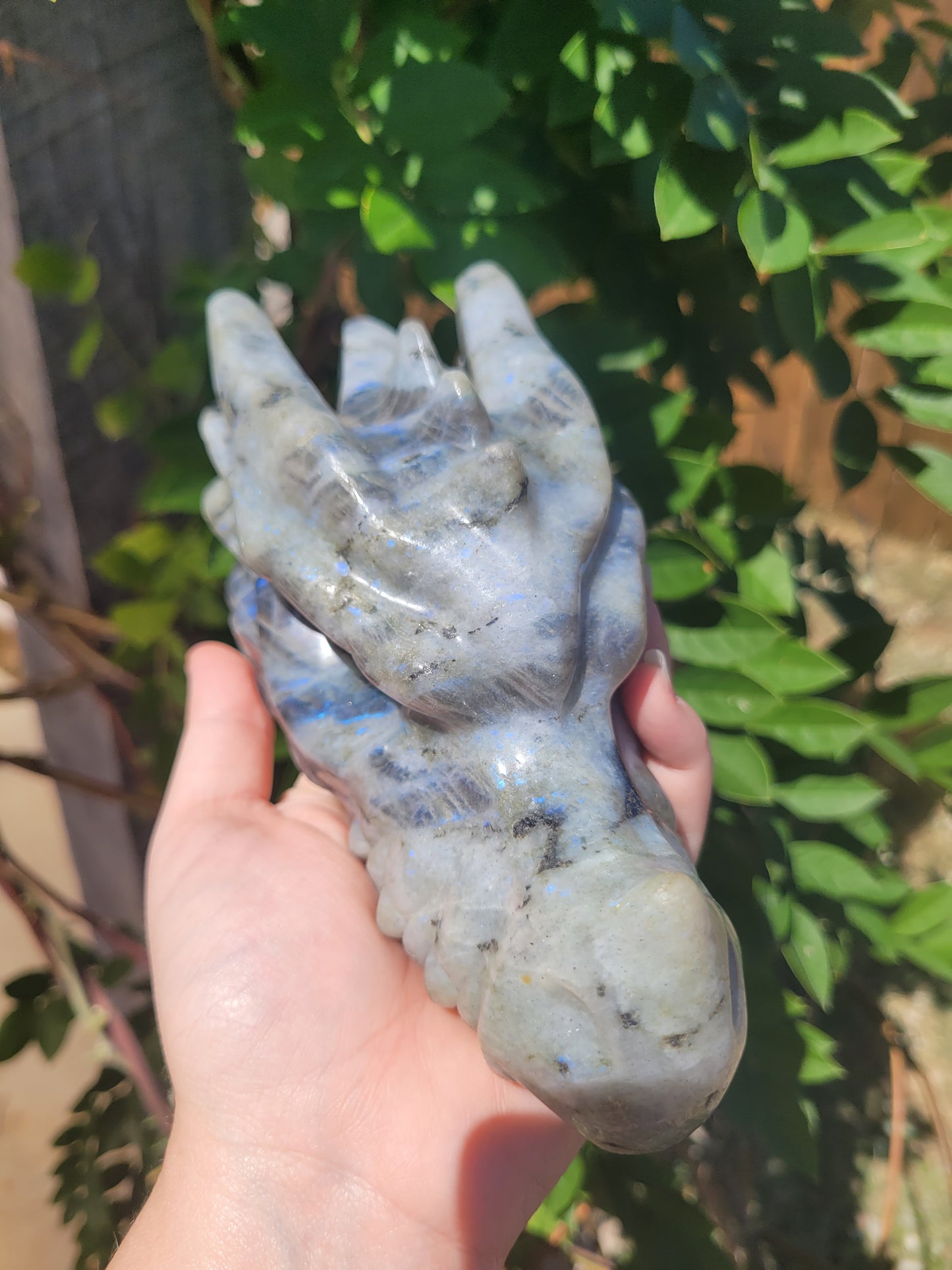 XL Labradorite Dragon Head Carving