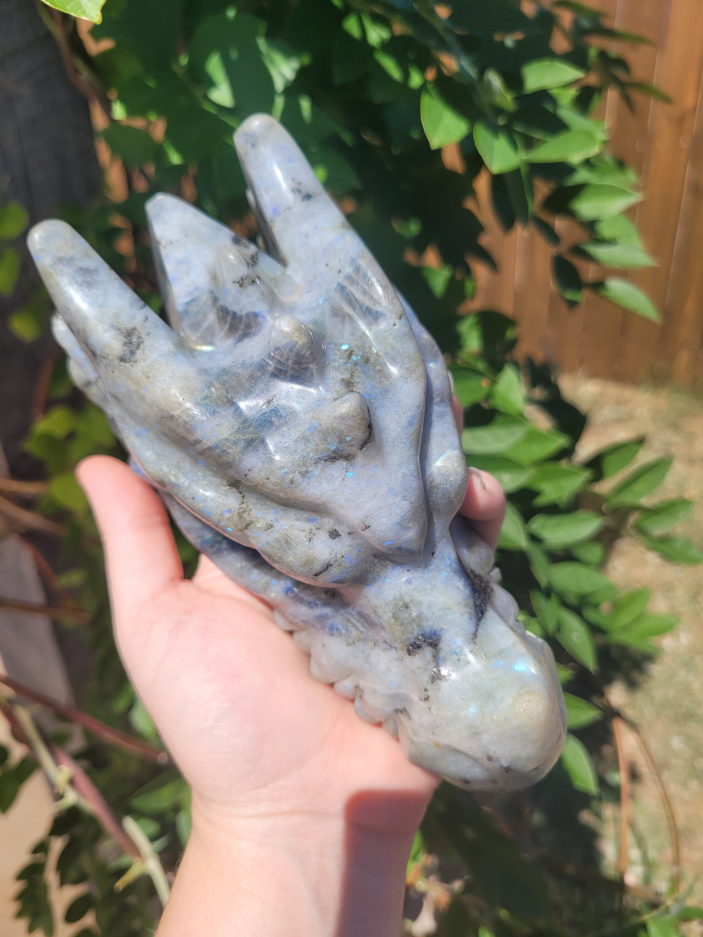 XL Labradorite Dragon Head Carving