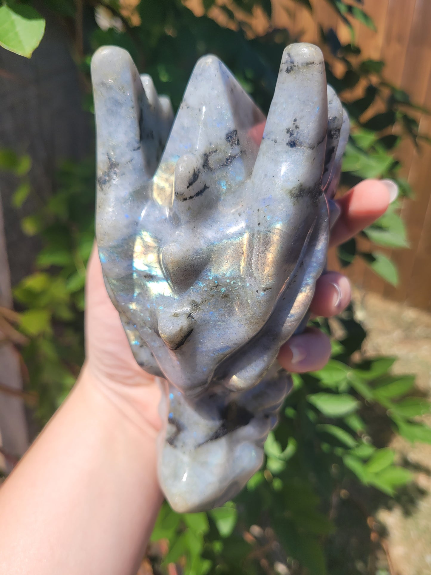 XL Labradorite Dragon Head Carving