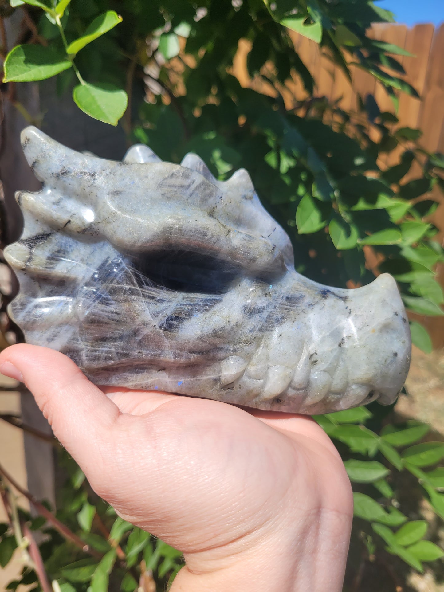 XL Labradorite Dragon Head Carving