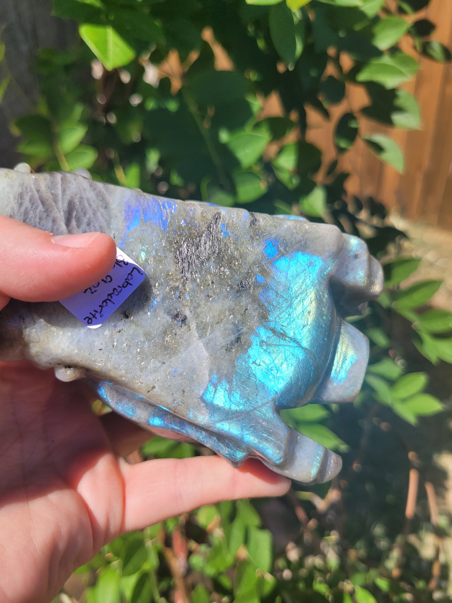 XL Labradorite Dragon Head Carving