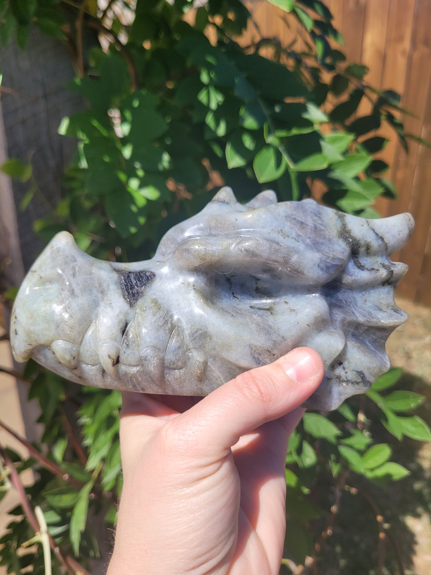 XL Labradorite Dragon Head Carving