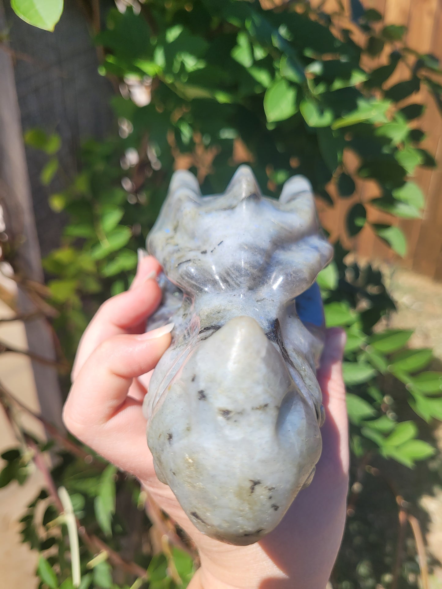 XL Labradorite Dragon Head Carving