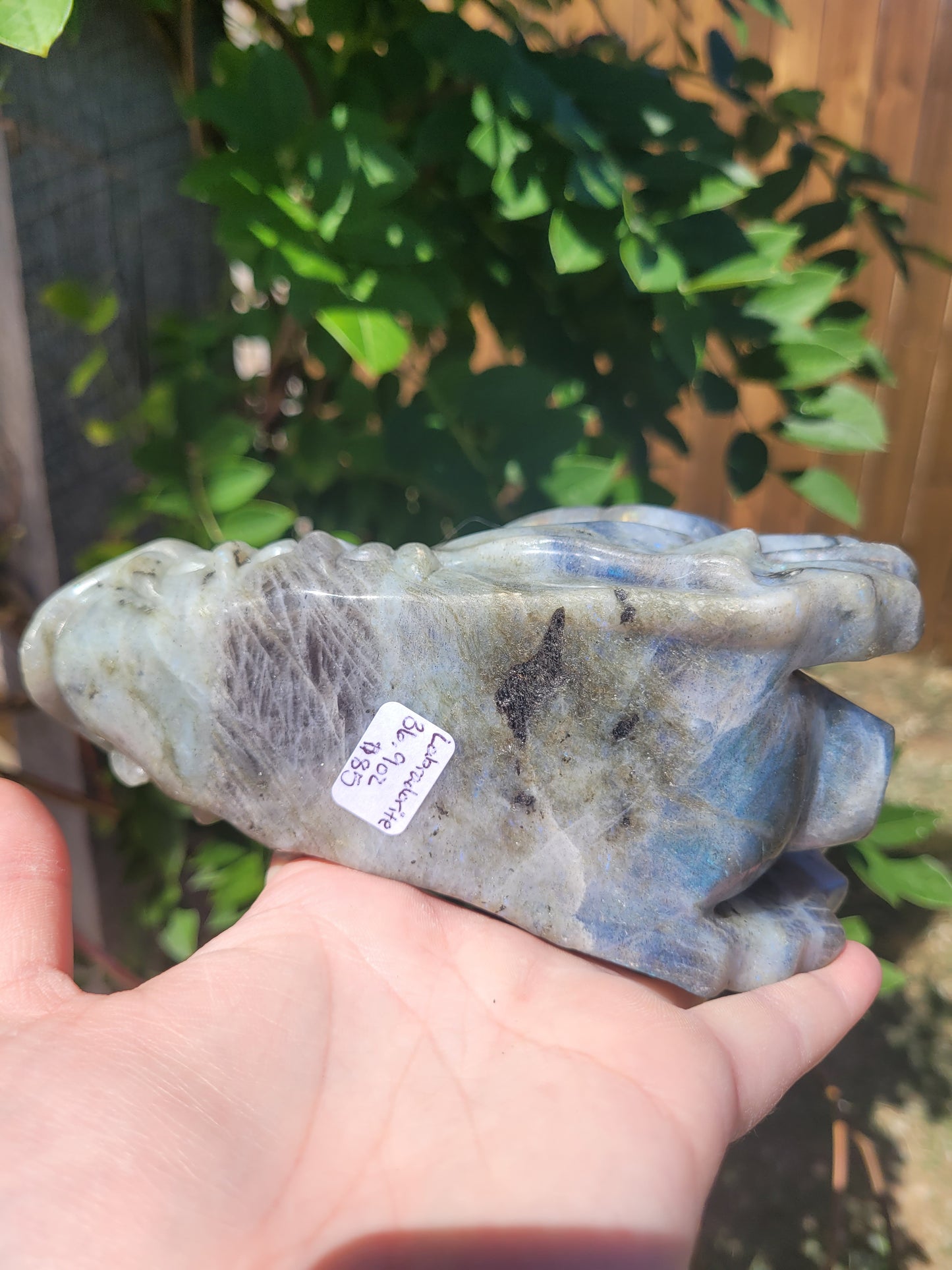 XL Labradorite Dragon Head Carving