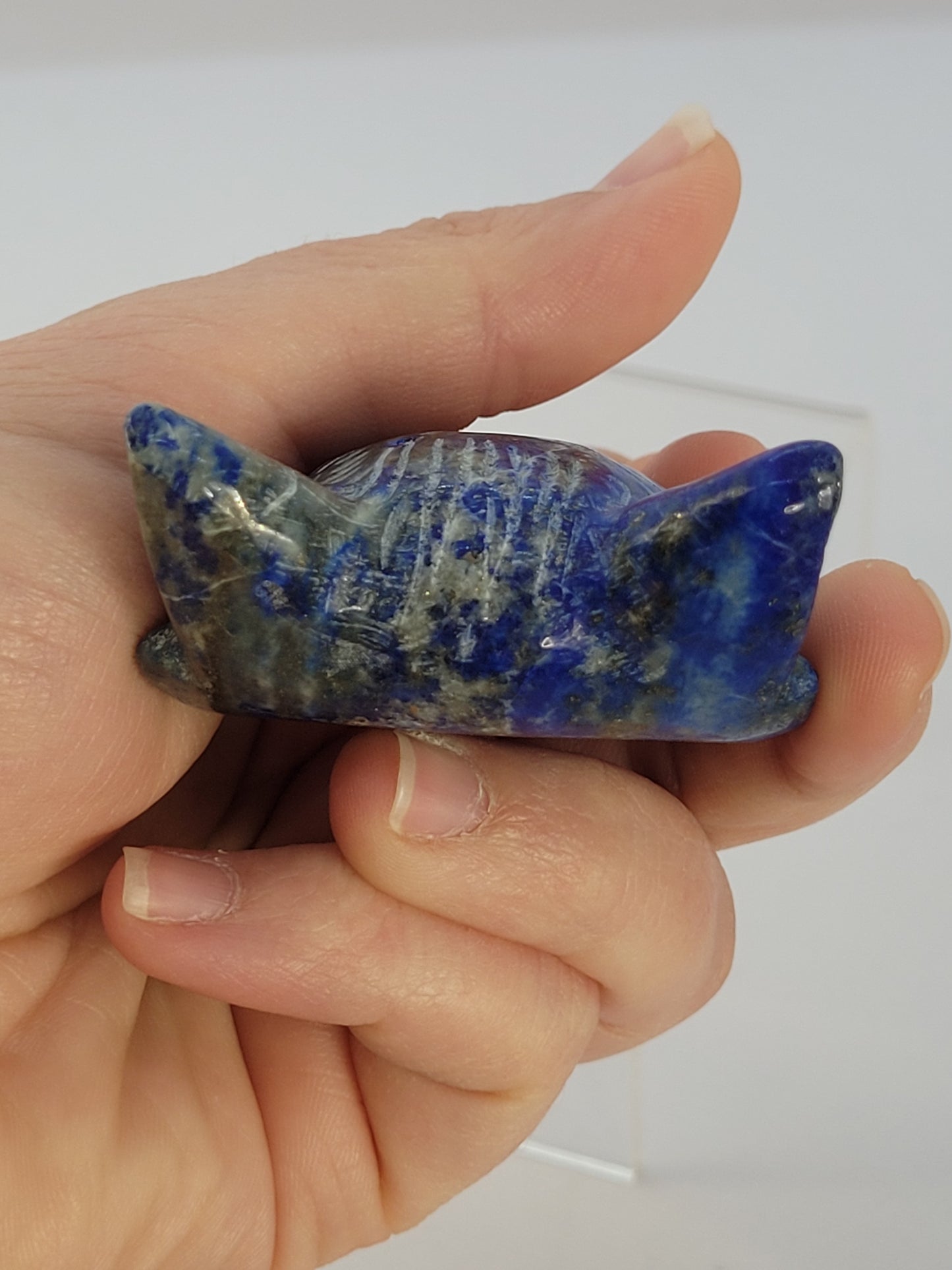 Lapis Lazuli Wolf Head carving