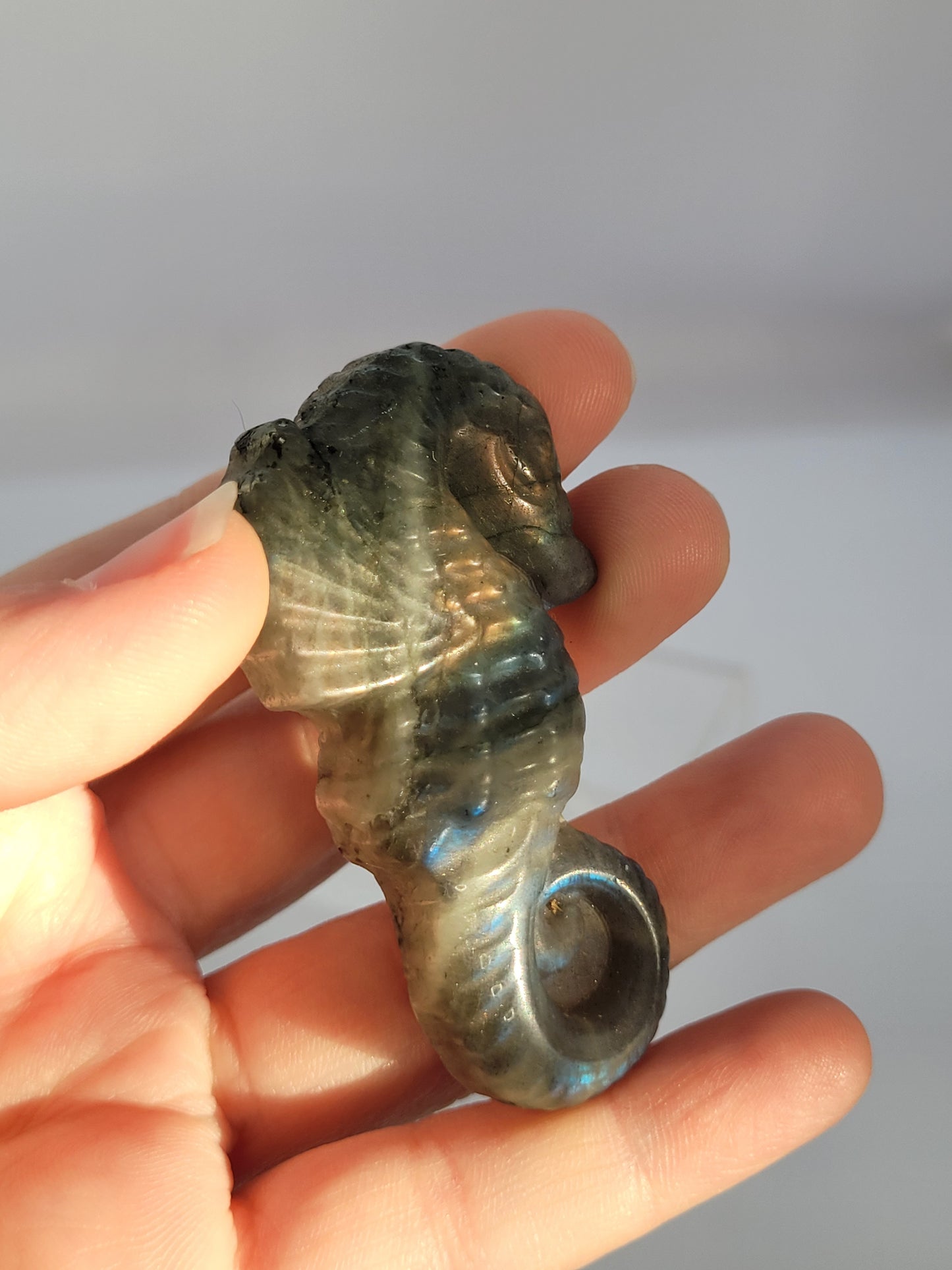 Labradorite Seahorse carving - small